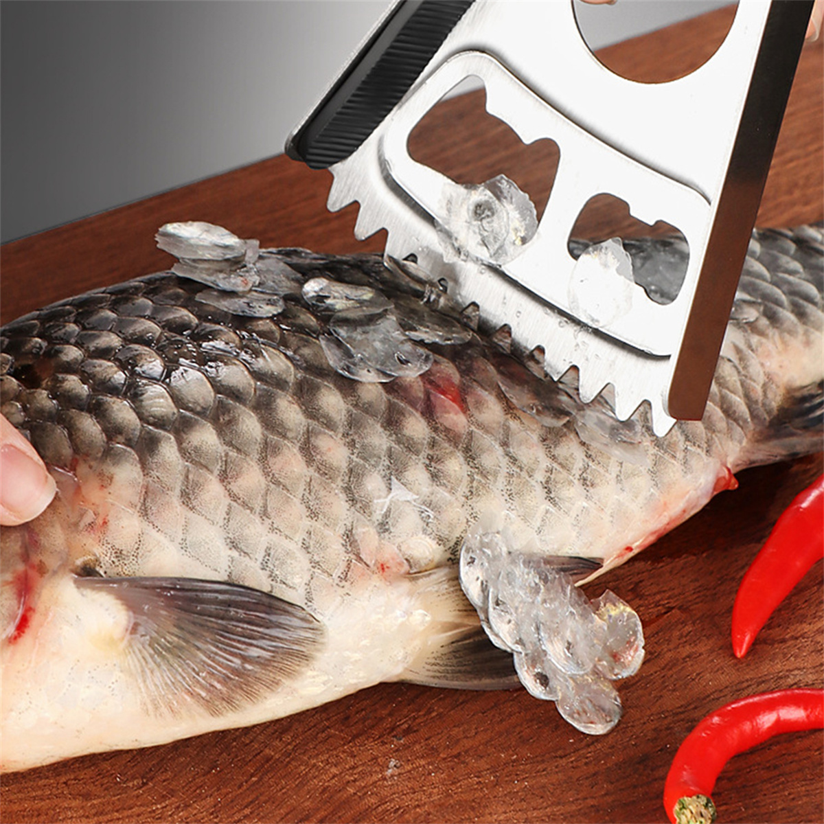 Schuppen werden mit einem Werkzeug von einem Fisch entfernt. Rote Chilischoten im Hintergrund auf Holz.