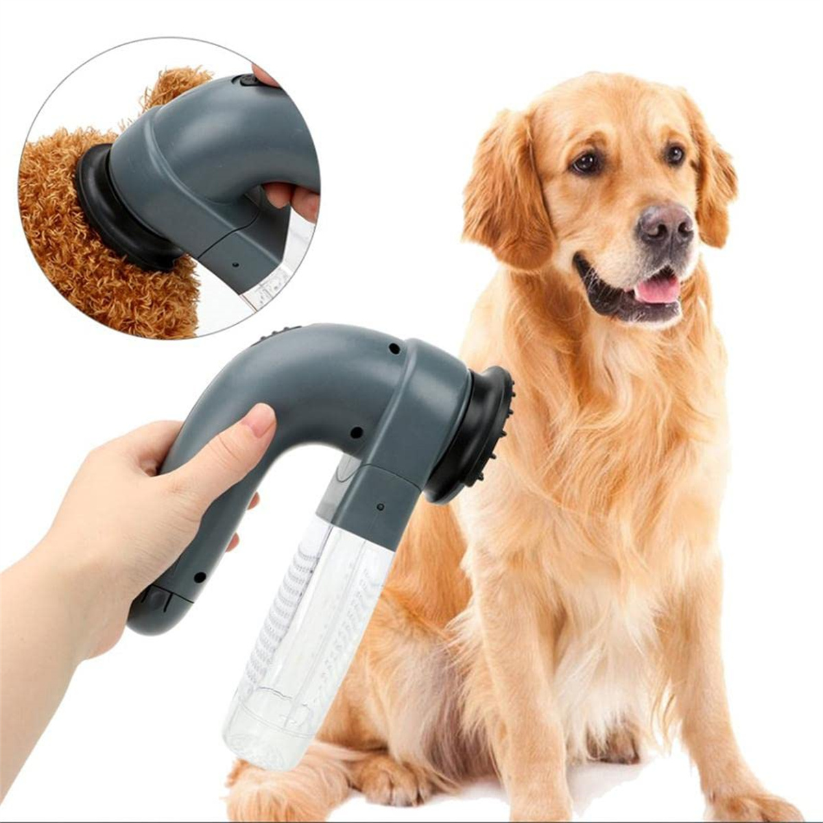 Ein Hundepflegewerkzeug mit Vakuumfunktion wird bei einem Hund verwendet. Der Hund ist golden.