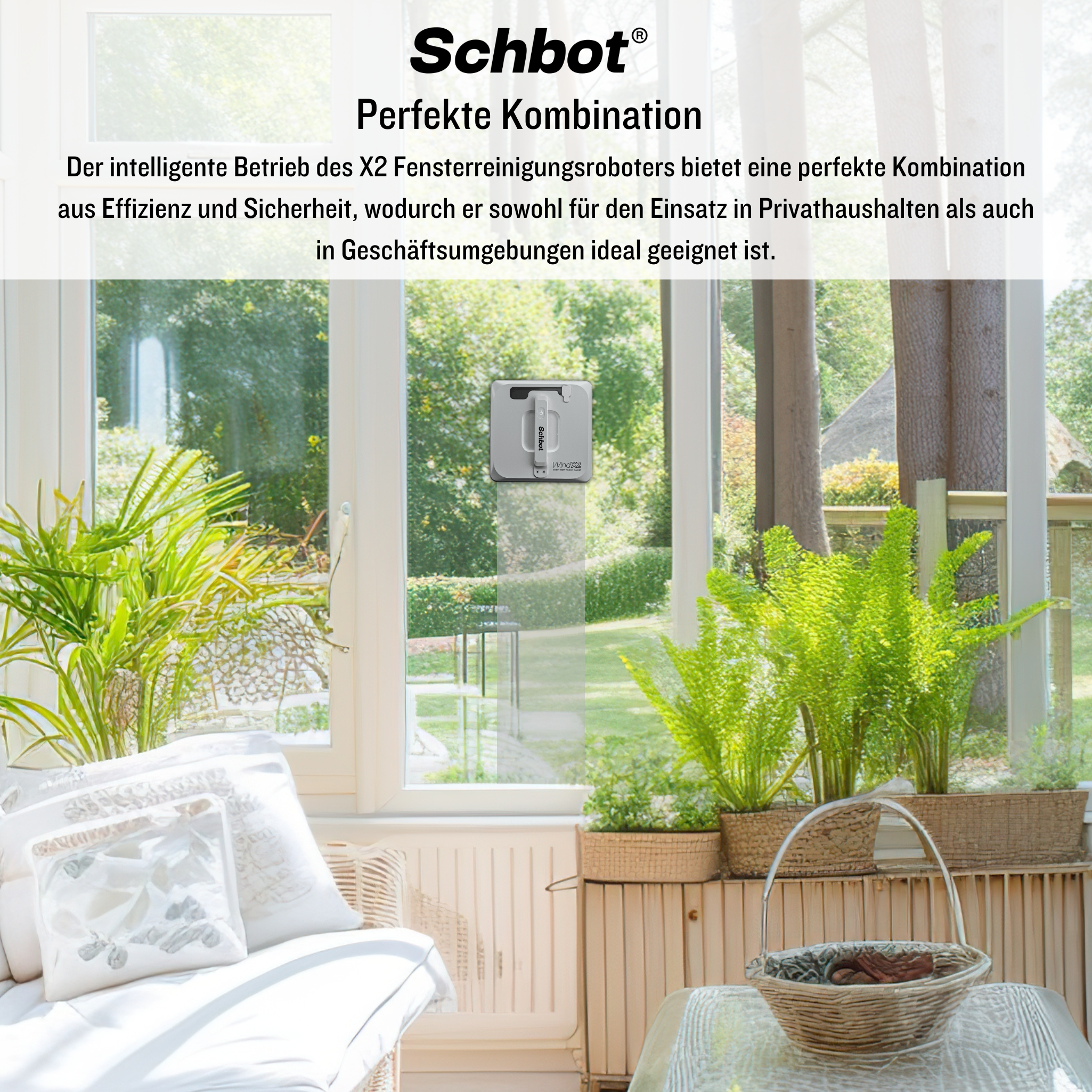 Fensterreinigungsroboter an einem Fenster mit Pflanzen und Blick nach draußen. Text oben beschreibt den Roboter.