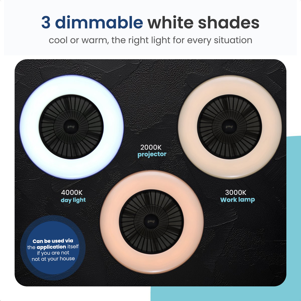 Three dimmable lights with different color temperatures are displayed.