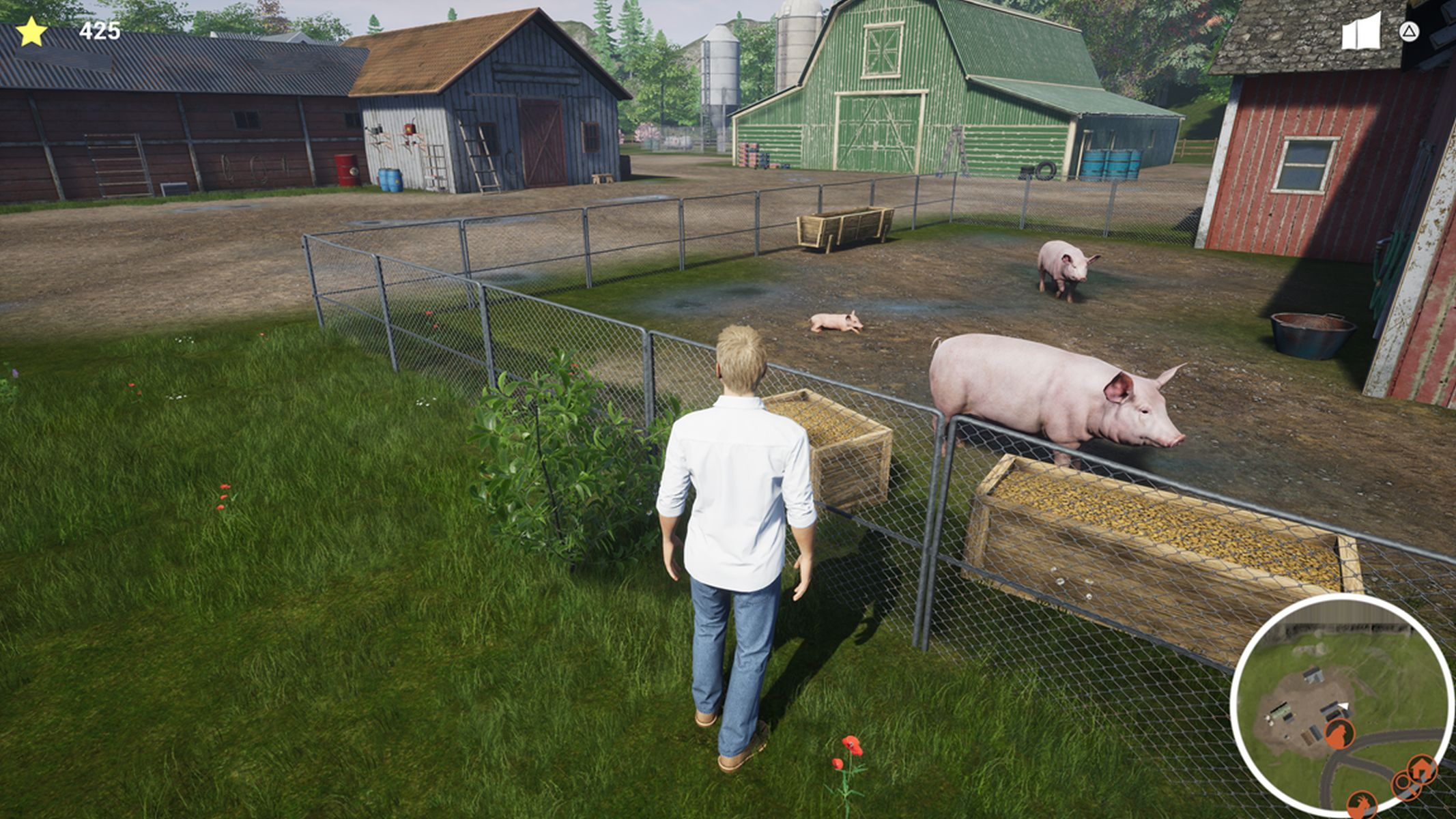 Ein Bauer auf einem Feld mit Schweinen und Scheunen im Hintergrund. Grünes Gras und ein Zaun trennen sie.