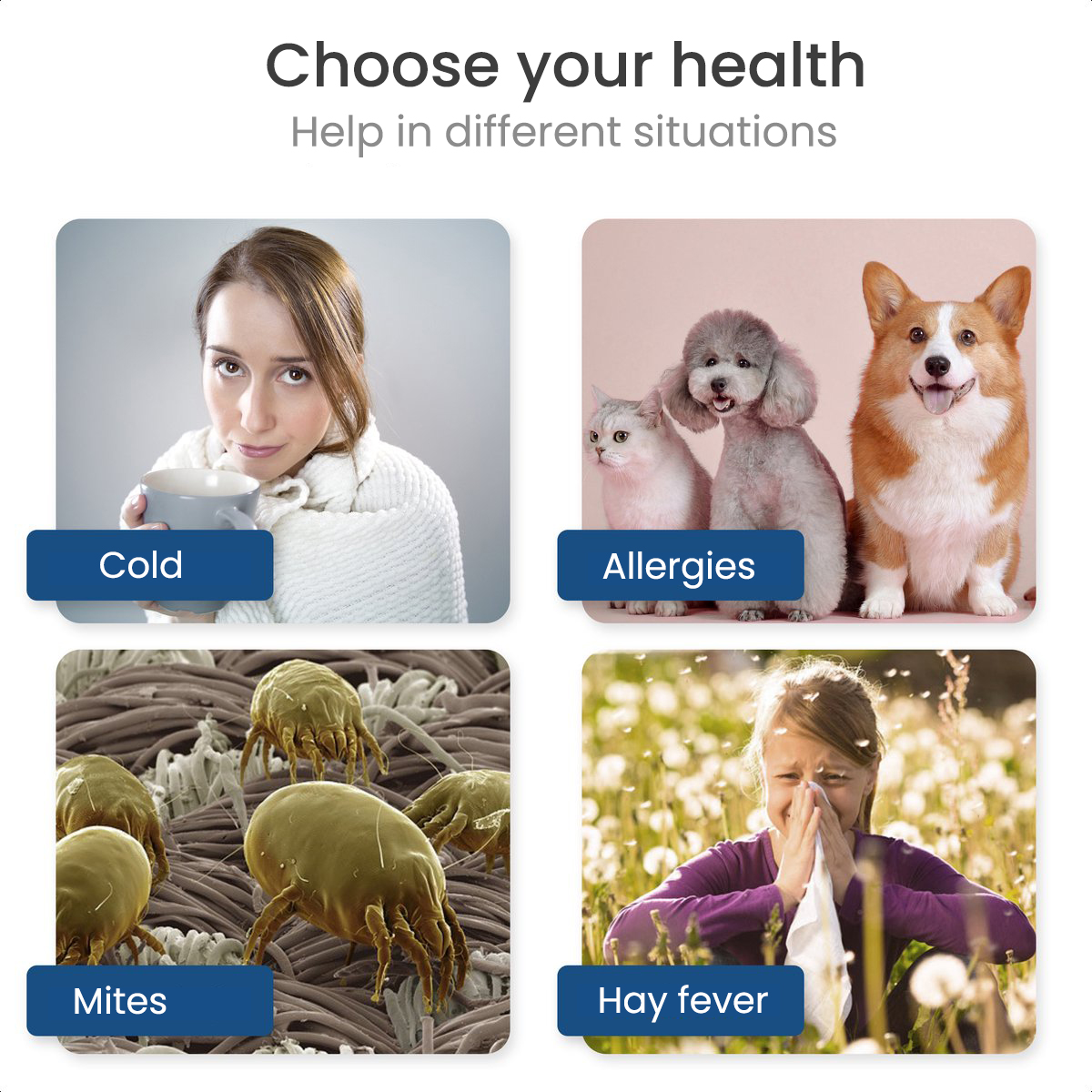 Four panels with health-related images: cold, allergies, mites, and hay fever. Each has a label.