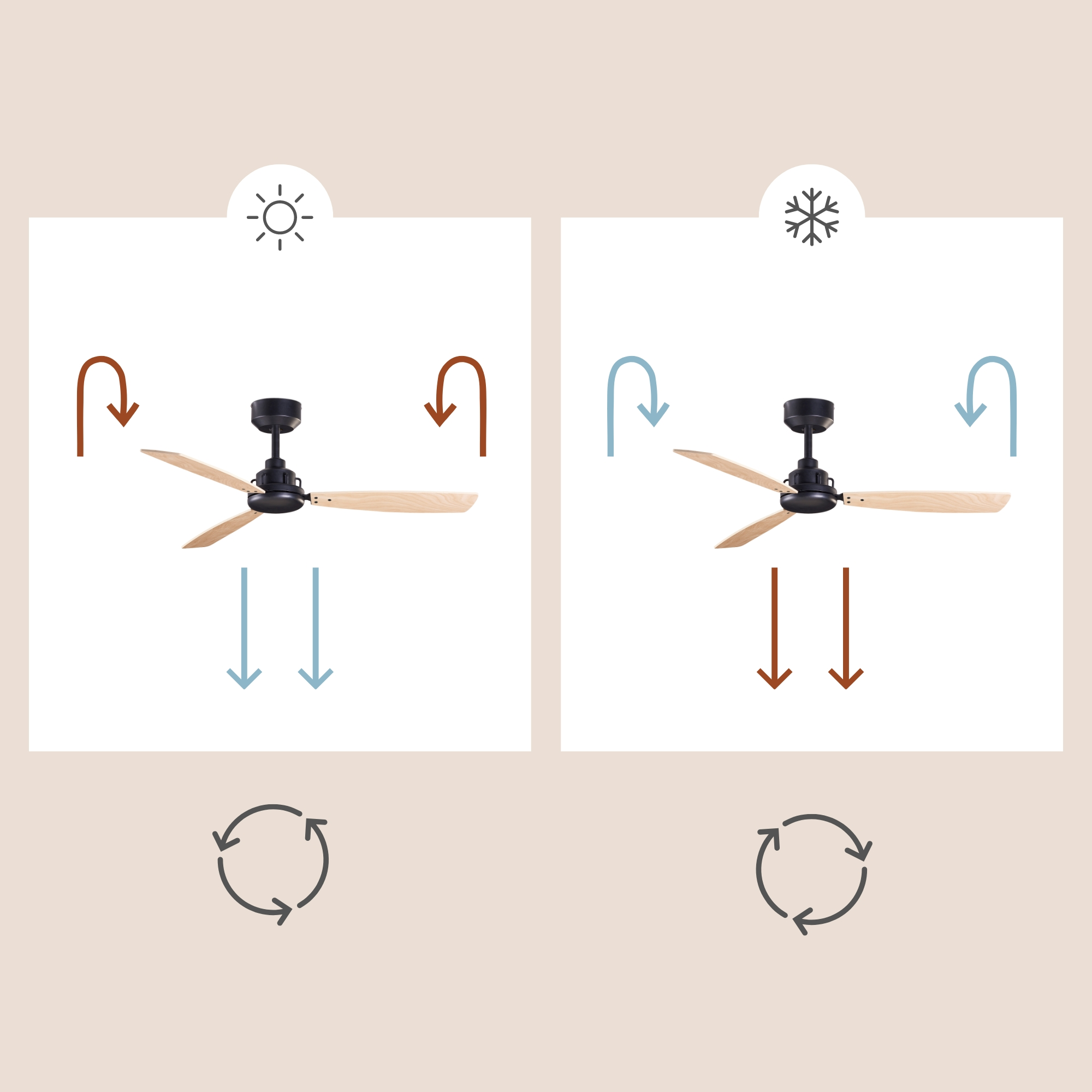 Diagramm eines Deckenventilators. Einer zeigt den Sommermodus, der andere den Wintermodus. Pfeile zeigen den Luftstrom.