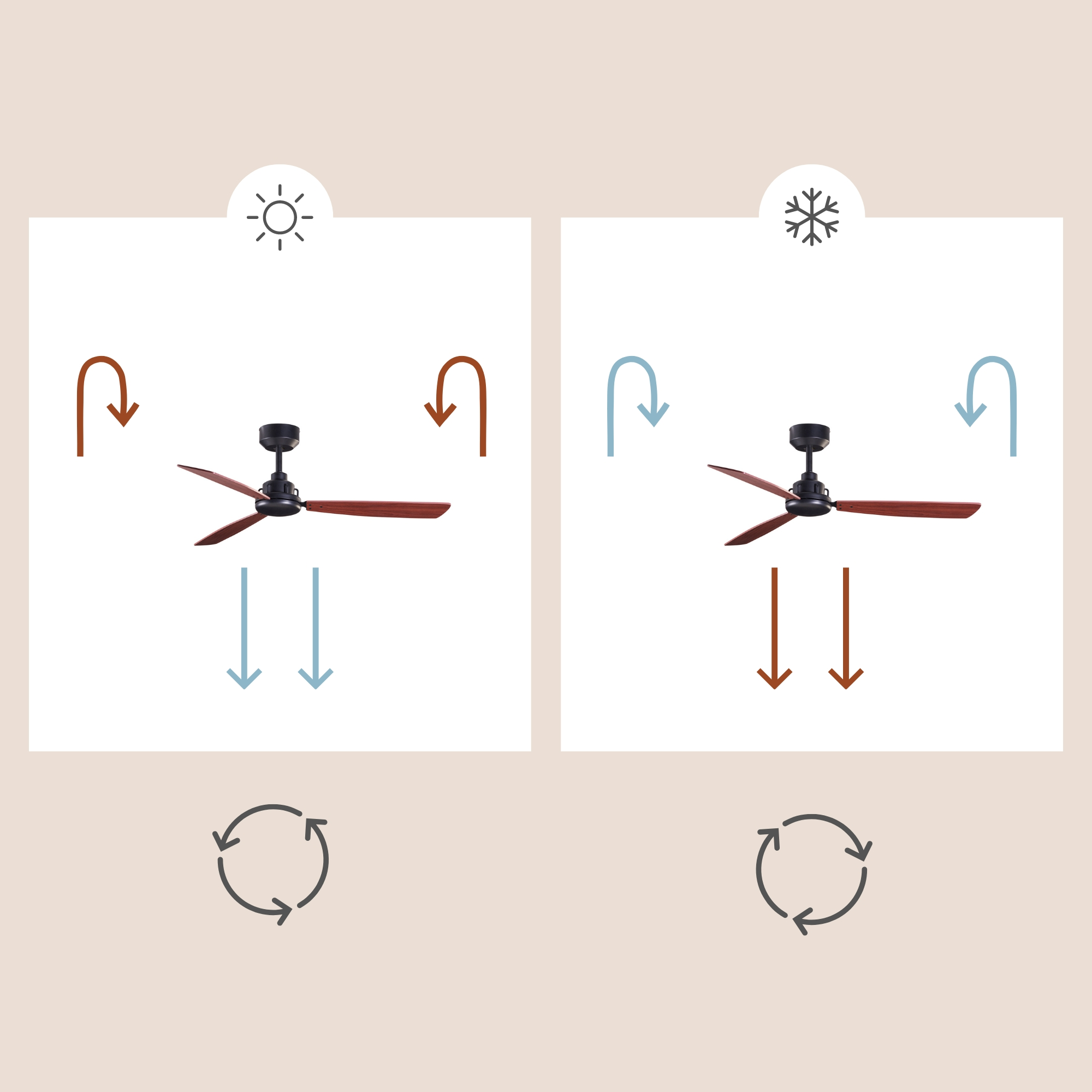 Diagramm, das einen Deckenventilator mit unterschiedlichen Luftstromrichtungen für Sommer und Winter zeigt.