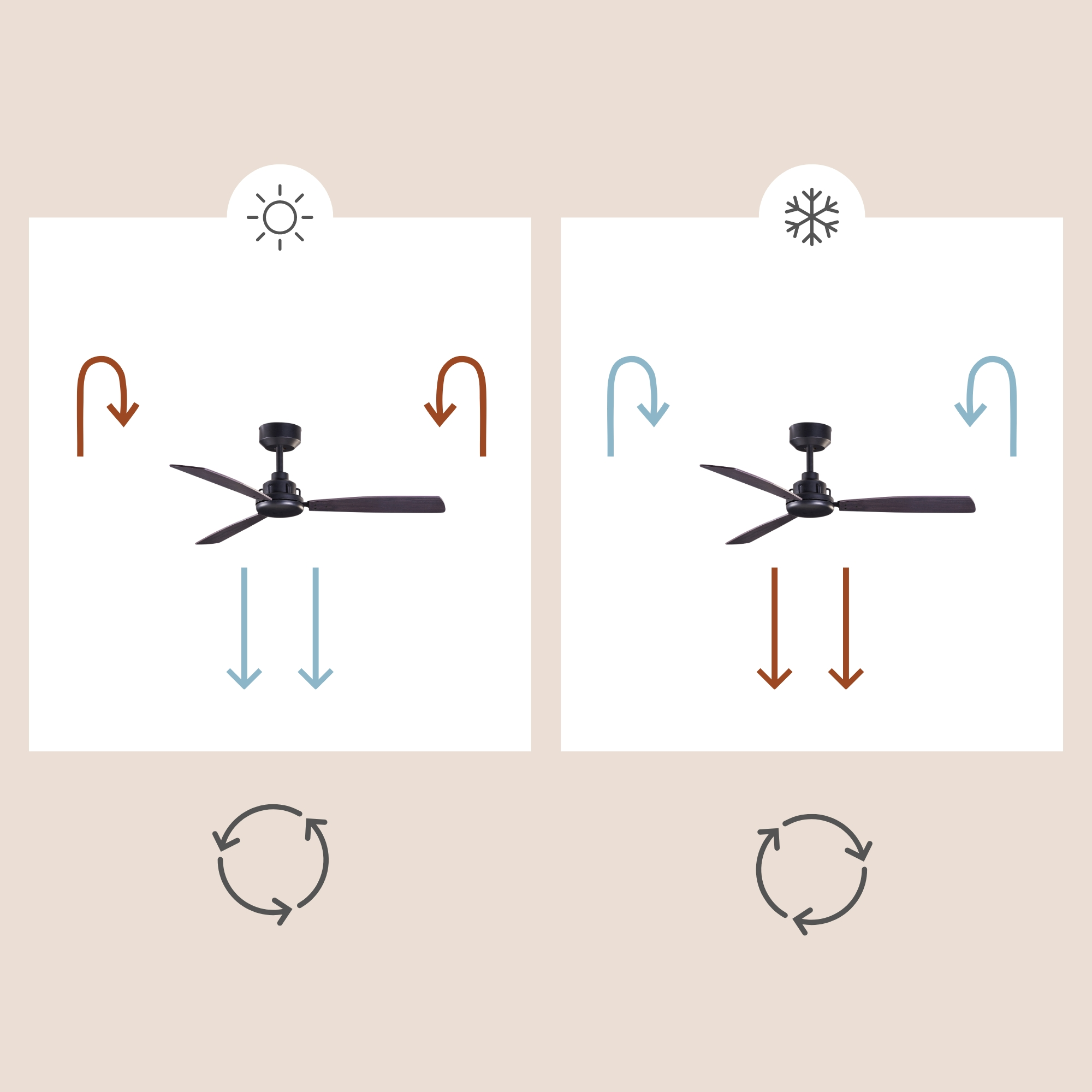 Diagramm eines Deckenventilators mit Pfeilen, die die Luftzirkulation zeigen. Sonne- und Schneeflocken-Icons.