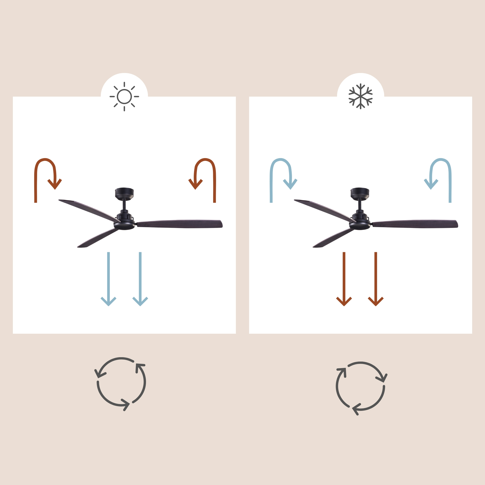 Diagramm eines Deckenventilators. Zeigt Pfeile für den Luftstrom im Sommer- und Wintermodus.
