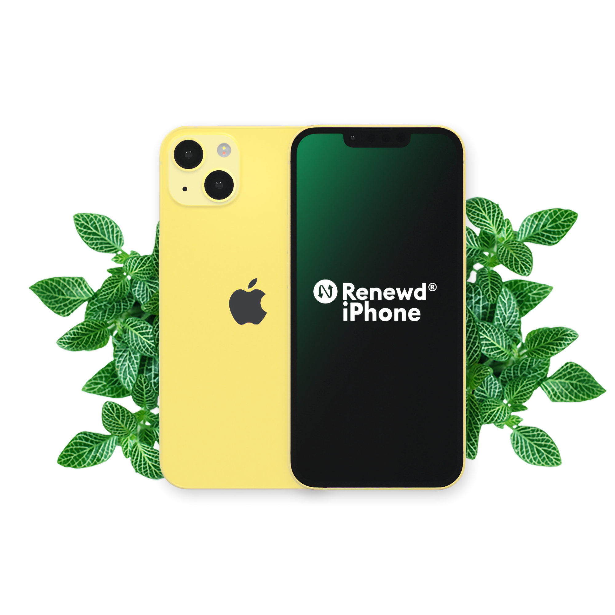 iPhone giallo con foglie verdi. Lo schermo è nero con il logo Renewd iPhone.