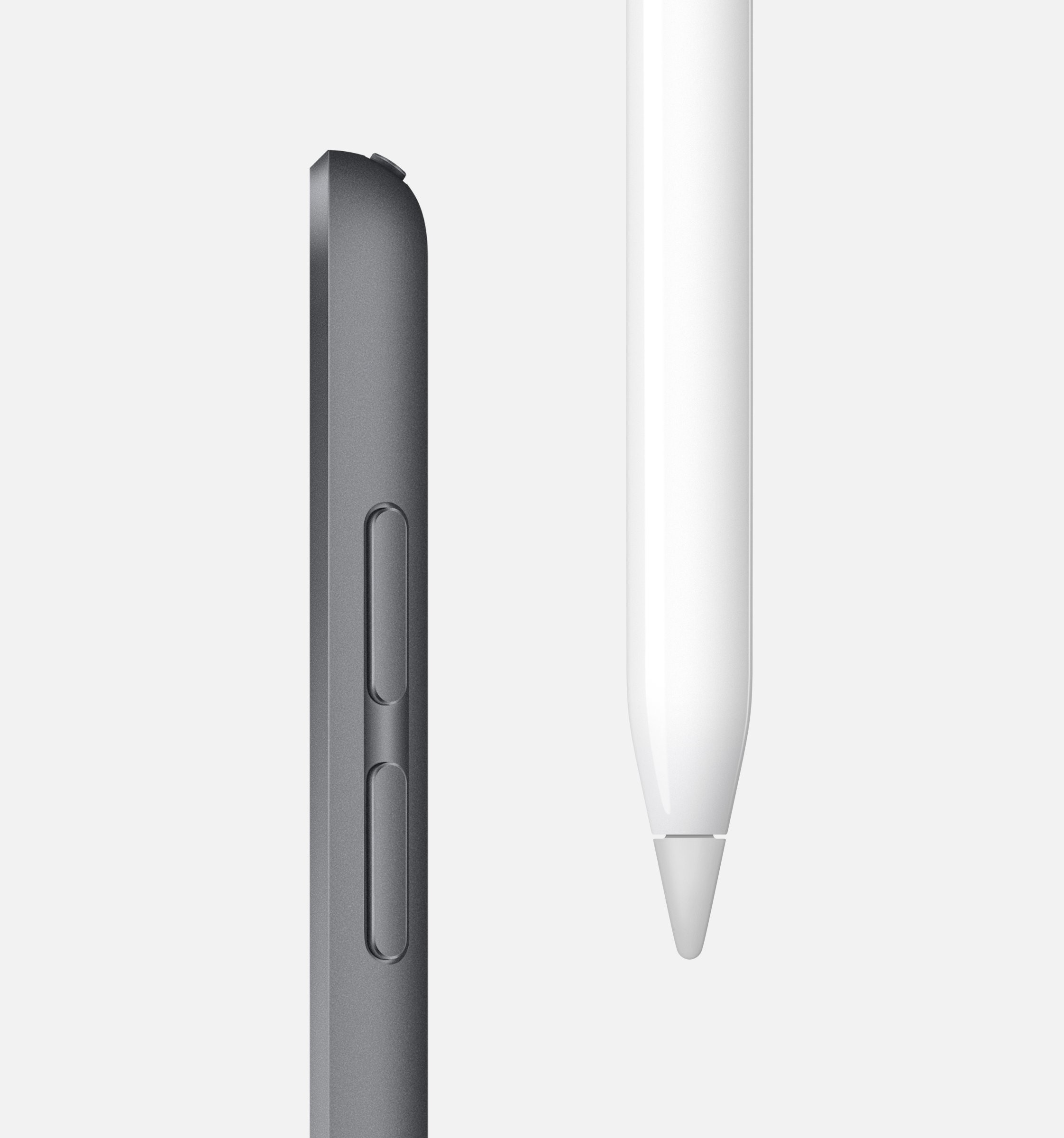 iPad Pro Seite mit Knöpfen und Apple Pencil. Beides vor weißem Hintergrund.