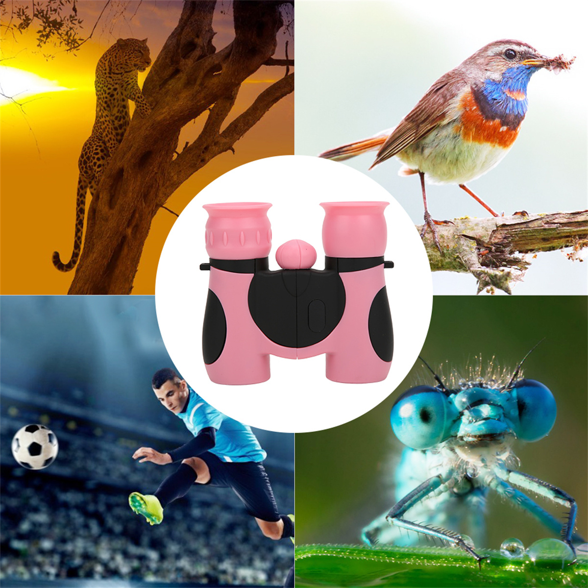 Eine Montage von Bildern, darunter ein Leopard, ein Vogel, ein Fußballspieler und ein Insekt mit Fernglas.