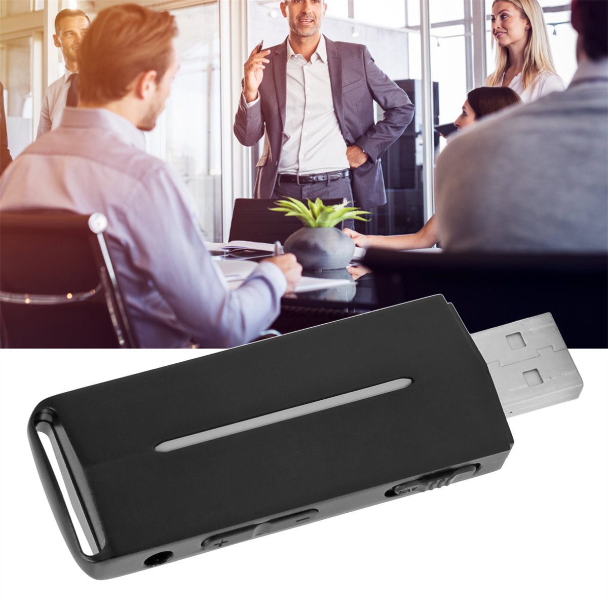 Schwarzes USB-Gerät mit Knöpfen, Präsentation während einer Besprechung mit Pflanze.