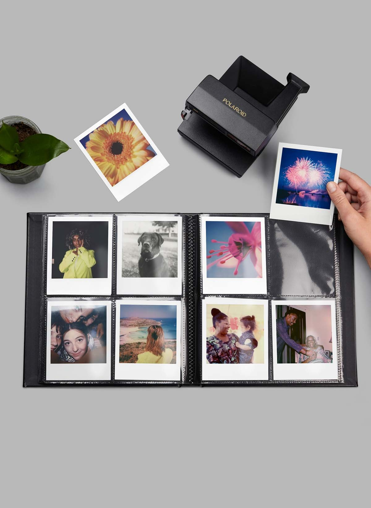Ein Fotoalbum mit Polaroid-Fotos, einer Polaroid-Kamera und einer Pflanze.