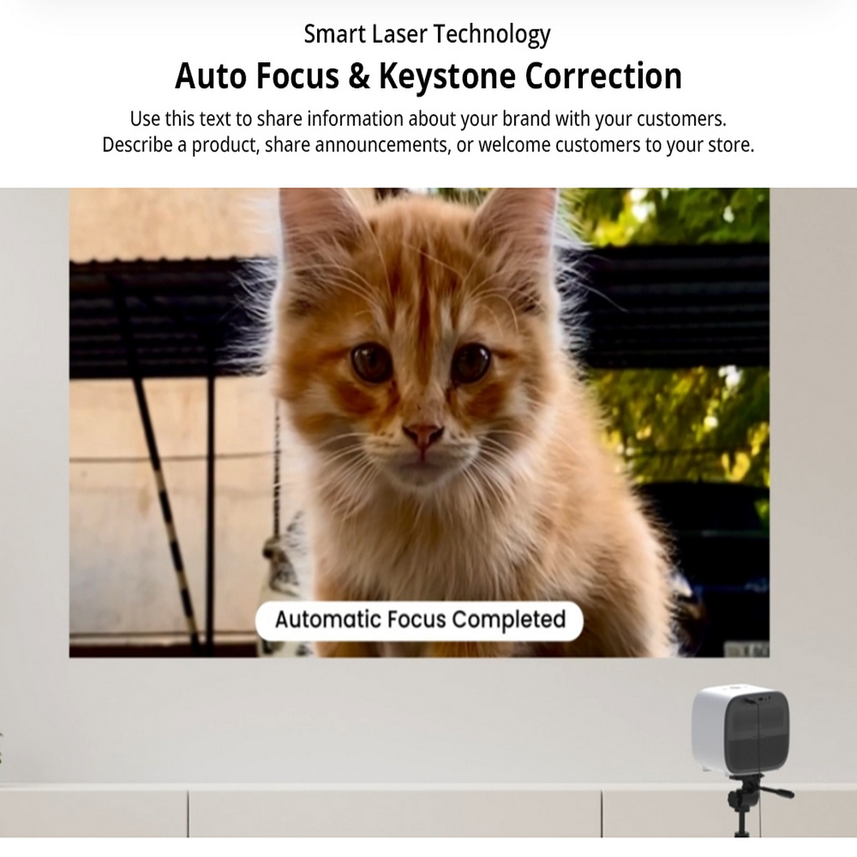 Orangene Katze in einem Video, Text auf dem Bildschirm lautet „Automatic Focus Completed“. Beiger Wandhintergrund.