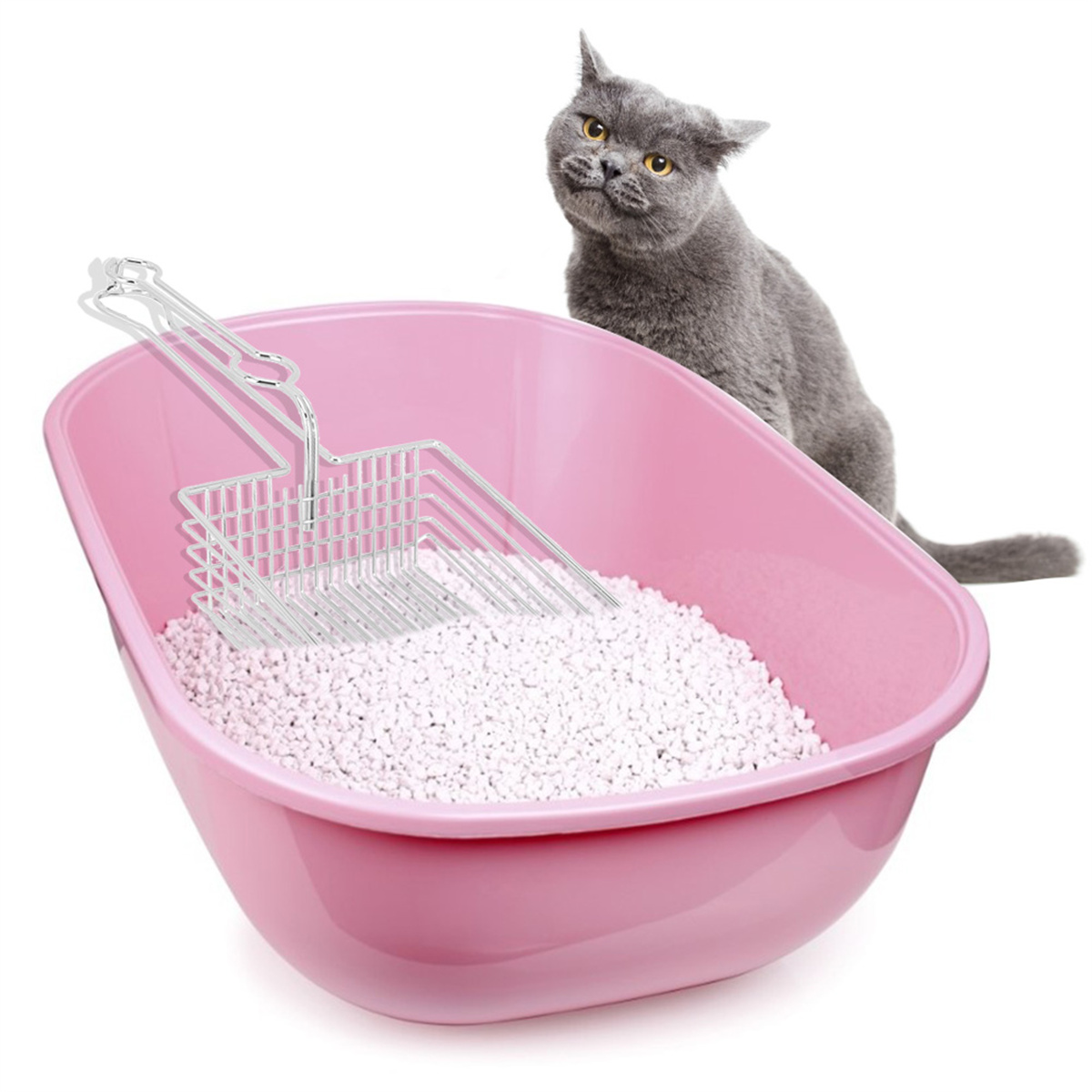 Eine rosa Katzentoilette mit weißer Streu und einer Schaufel. Eine graue Katze sitzt in der Nähe und schaut in die Kamera.