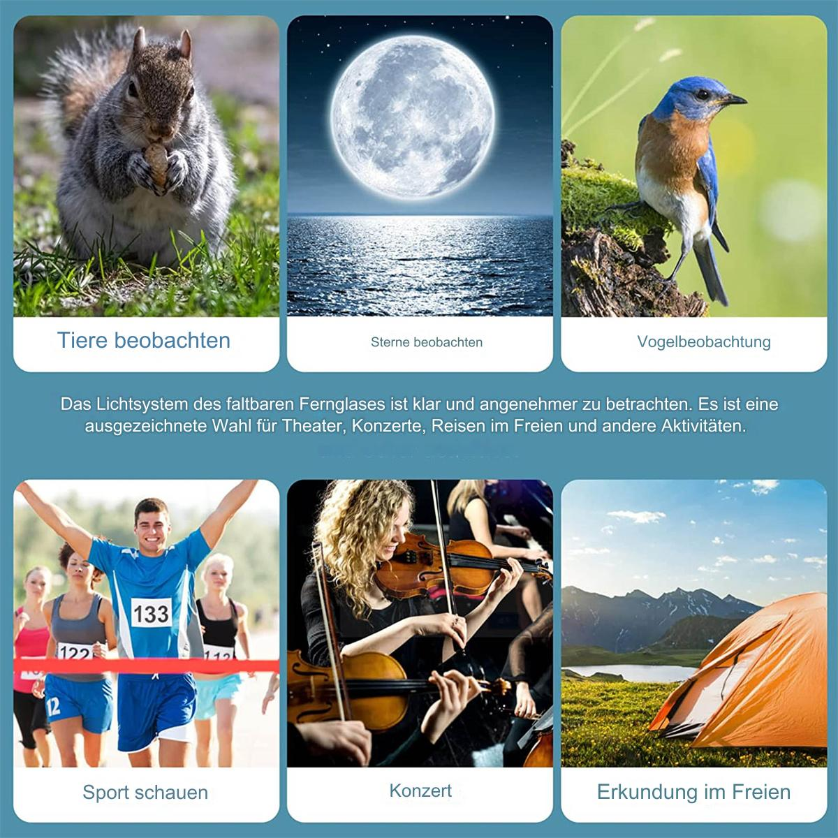 Collage von Bildern mit Text. Enthält Eichhörnchen, Mond, Vogel, Läufer, Konzert und Zelt.