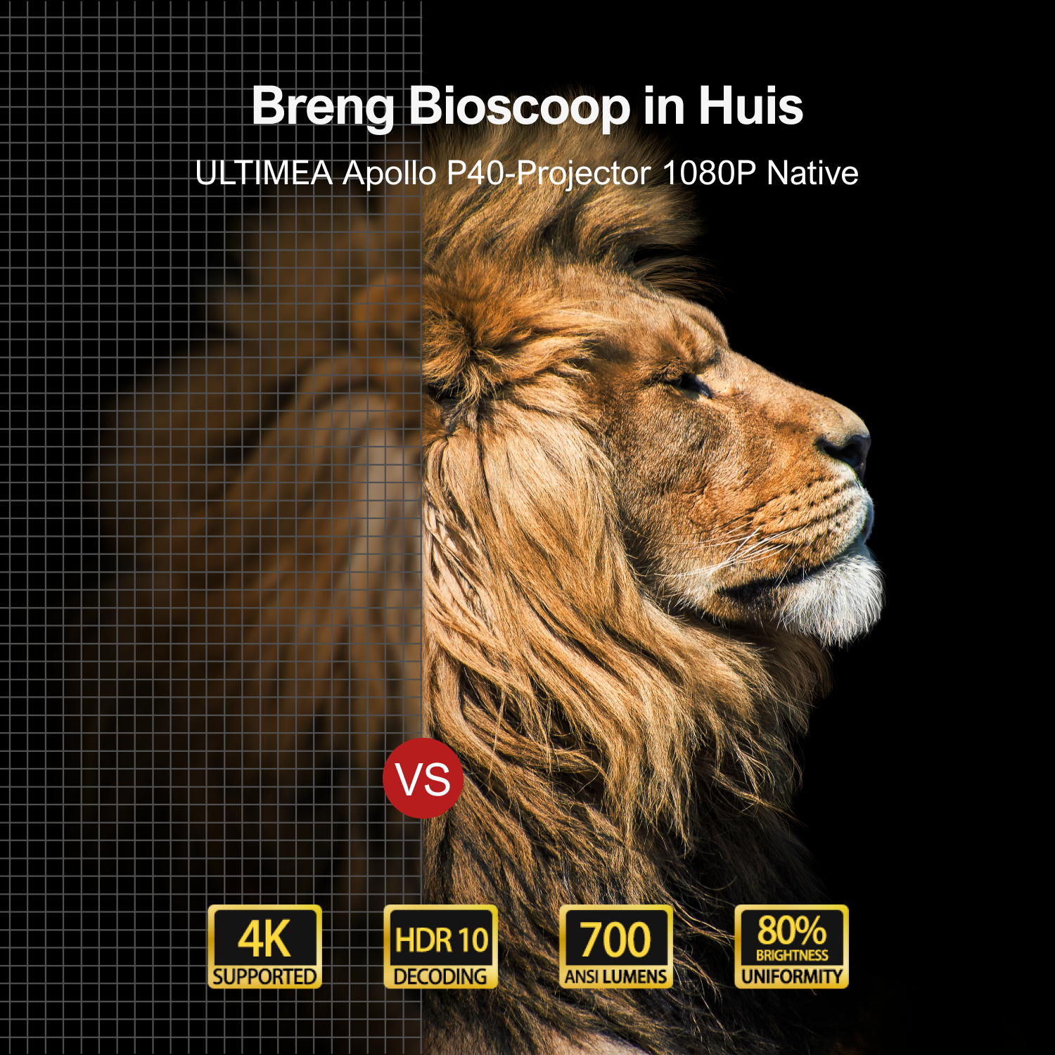 A lion's head profile is shown beside a grid. Text indicates a projector with 4K, HDR10, 700 ANSI lumens, and 80% brightness.