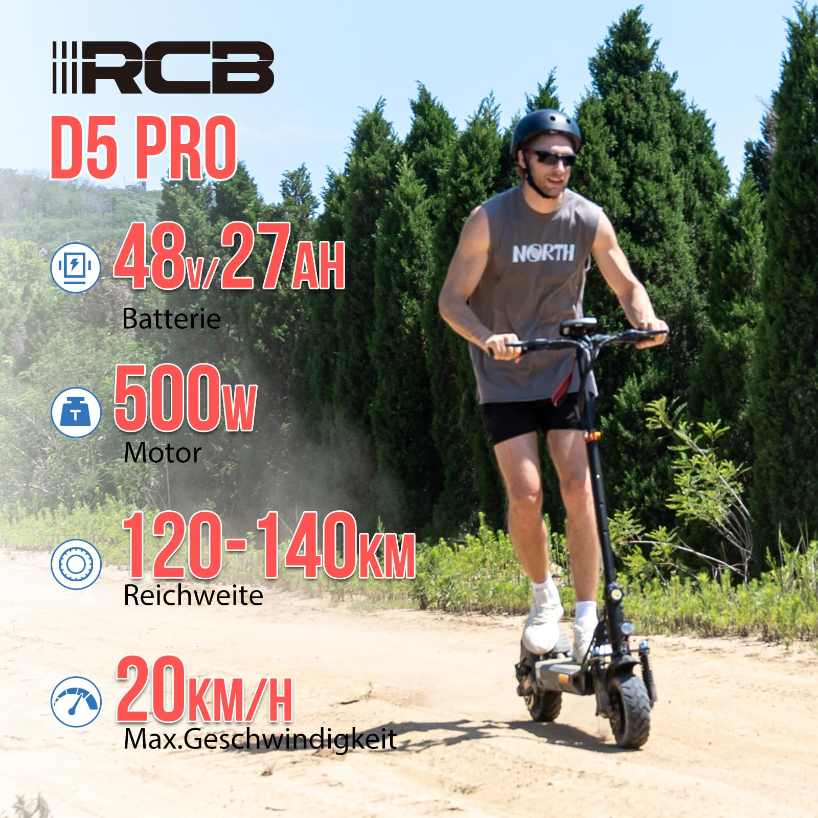 RCB D5 Pro Elektroroller (10 Zoll, Schwarz)