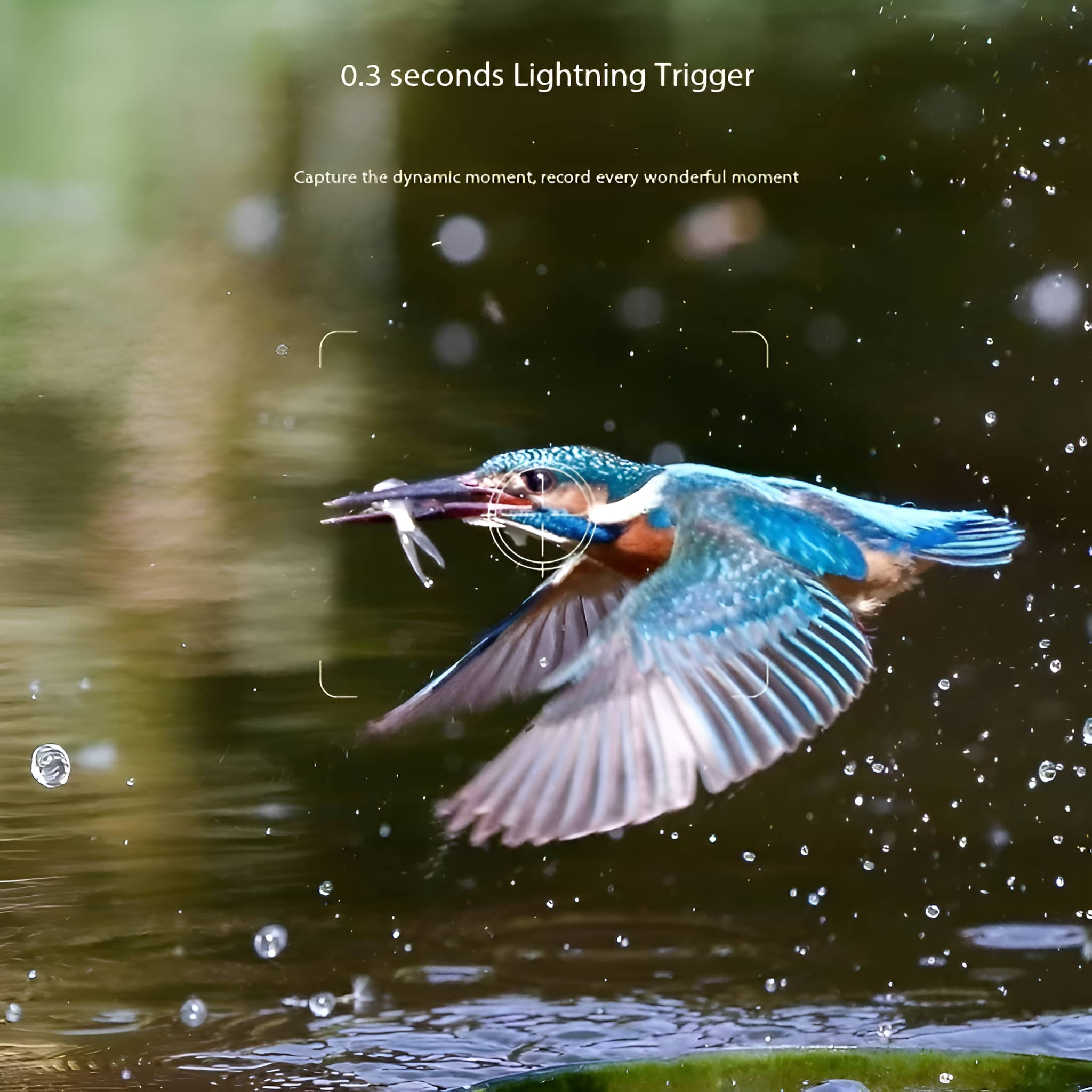 Ein Vogel im Flug, der einen Fisch trägt. Wasser im Hintergrund. Fokussierte Aufnahme, leuchtende Farben.
