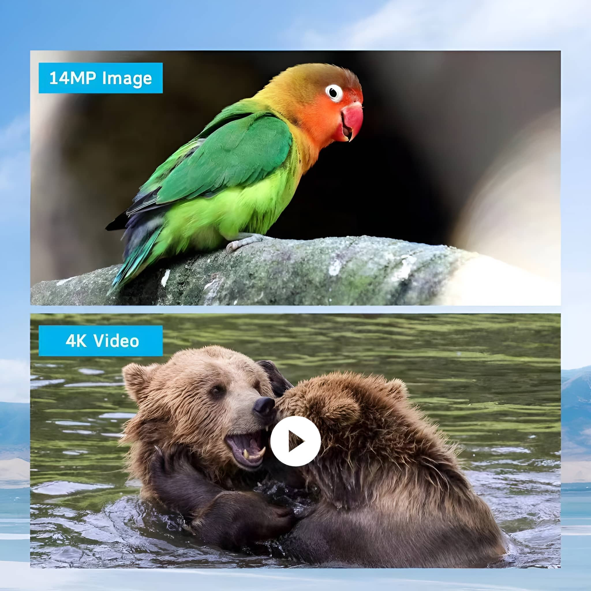Zwei Bilder nebeneinander. Vogel und Bären. Text-Overlay: 14MP-Bild & 4K-Video.