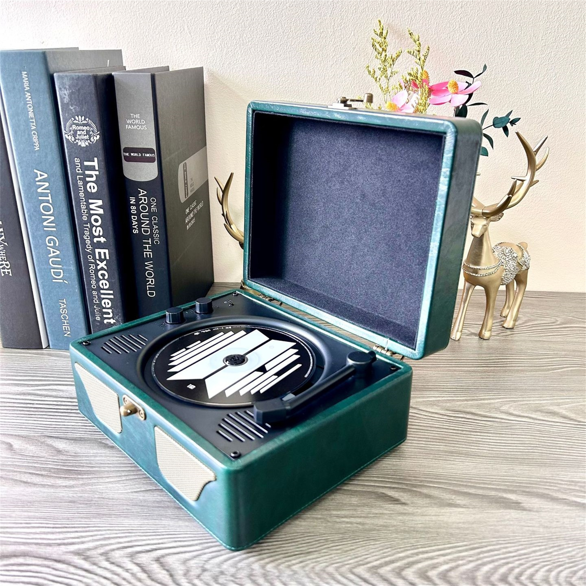 Grünes Leder-Plattenspieler-Case mit Schallplatten und Büchern auf einem Tisch.