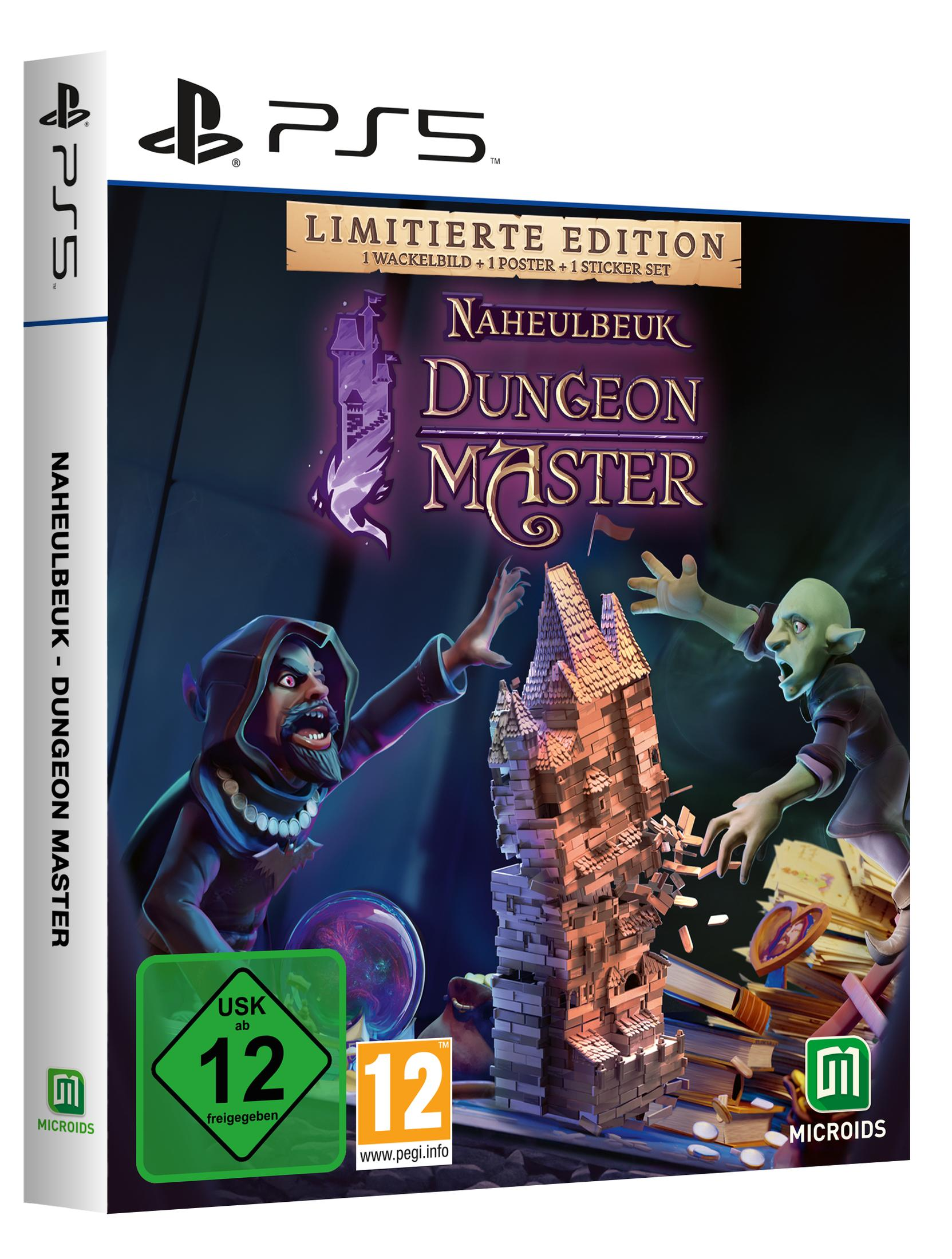 PS5-Spielverpackung. Die Vorderseite zeigt eine Burgillustration und den Spieltitel.