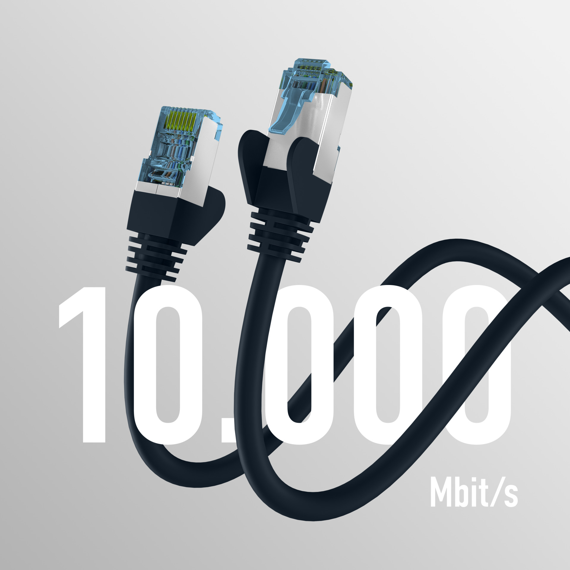 Zwei schwarze Netzwerkkabel mit blauen Steckern und dem Text 10.000 Mbit/s.