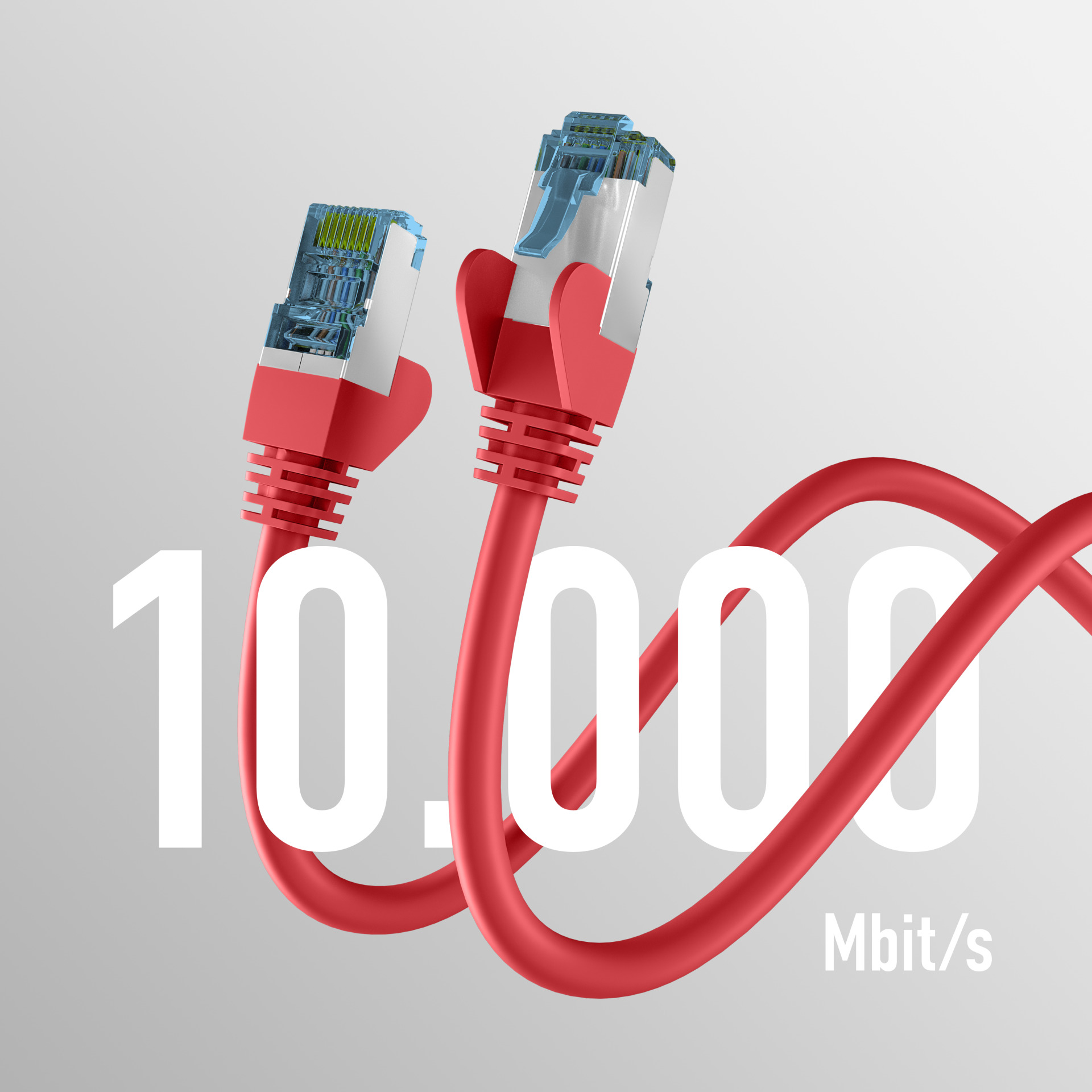 Zwei rote Netzwerkkabel mit blau-weißen Steckern und dem Text '10.000 Mbit/s'.
