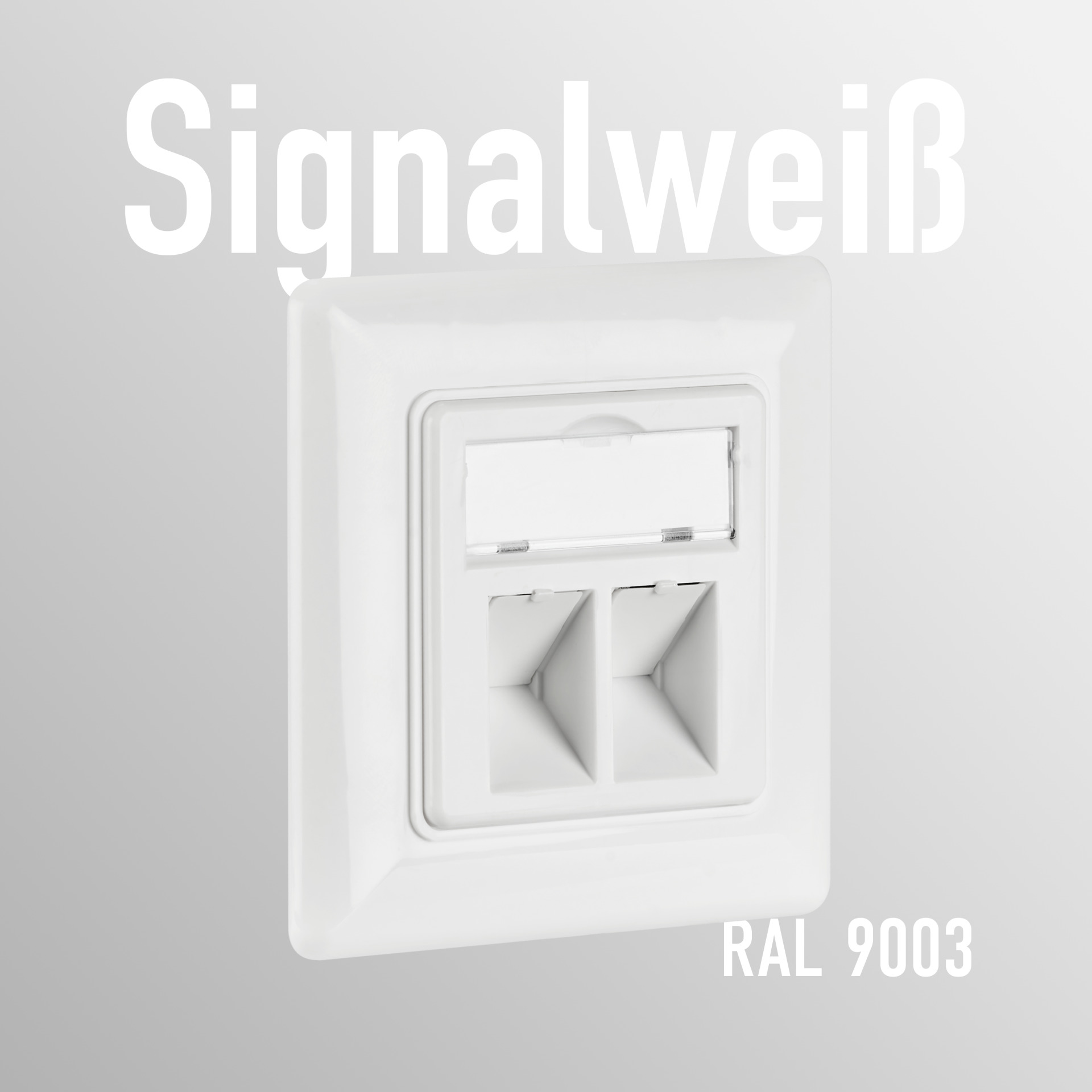 Weiße Wandsteckdose mit zwei Öffnungen. Text: Signalweiß und RAL 9003. Weißer Hintergrund.