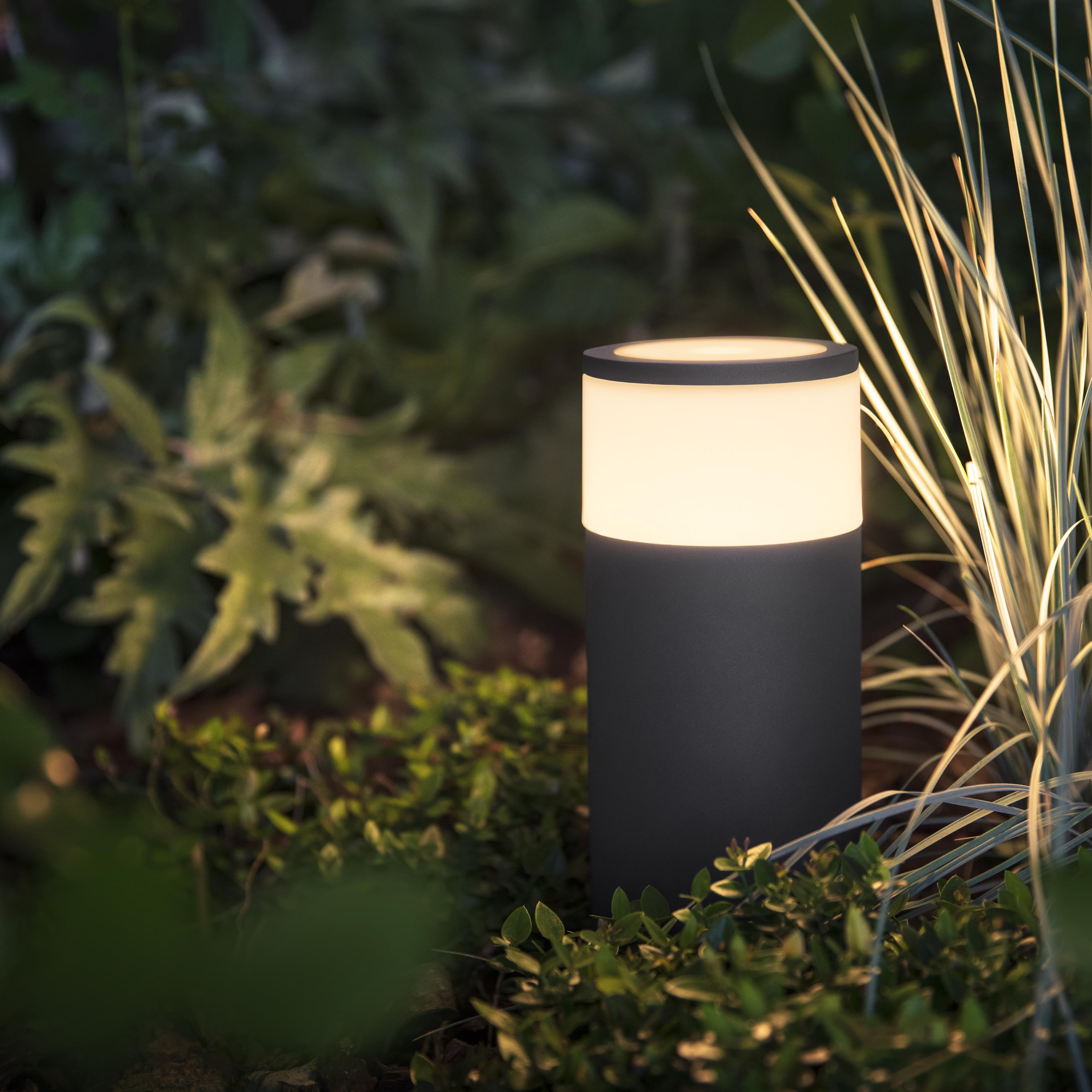 Cylindryczna lampa zewnętrzna oświetla ogród. Zielone rośliny i wysoka trawa otaczają lampę, na rozmytym tle.