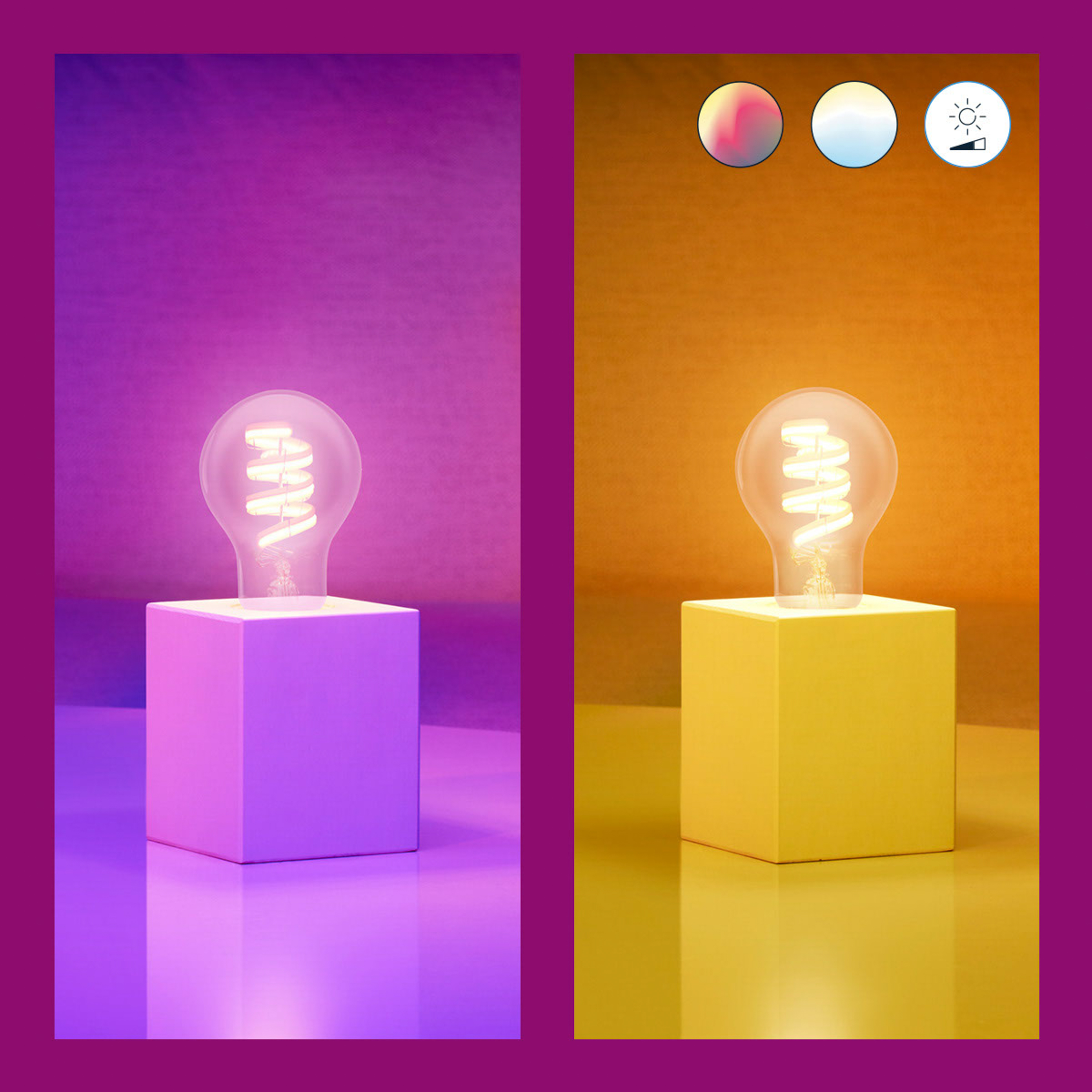Dwa zdjęcia żarówki na kostce. Jeden z fioletowym, drugi z żółtym tłem.