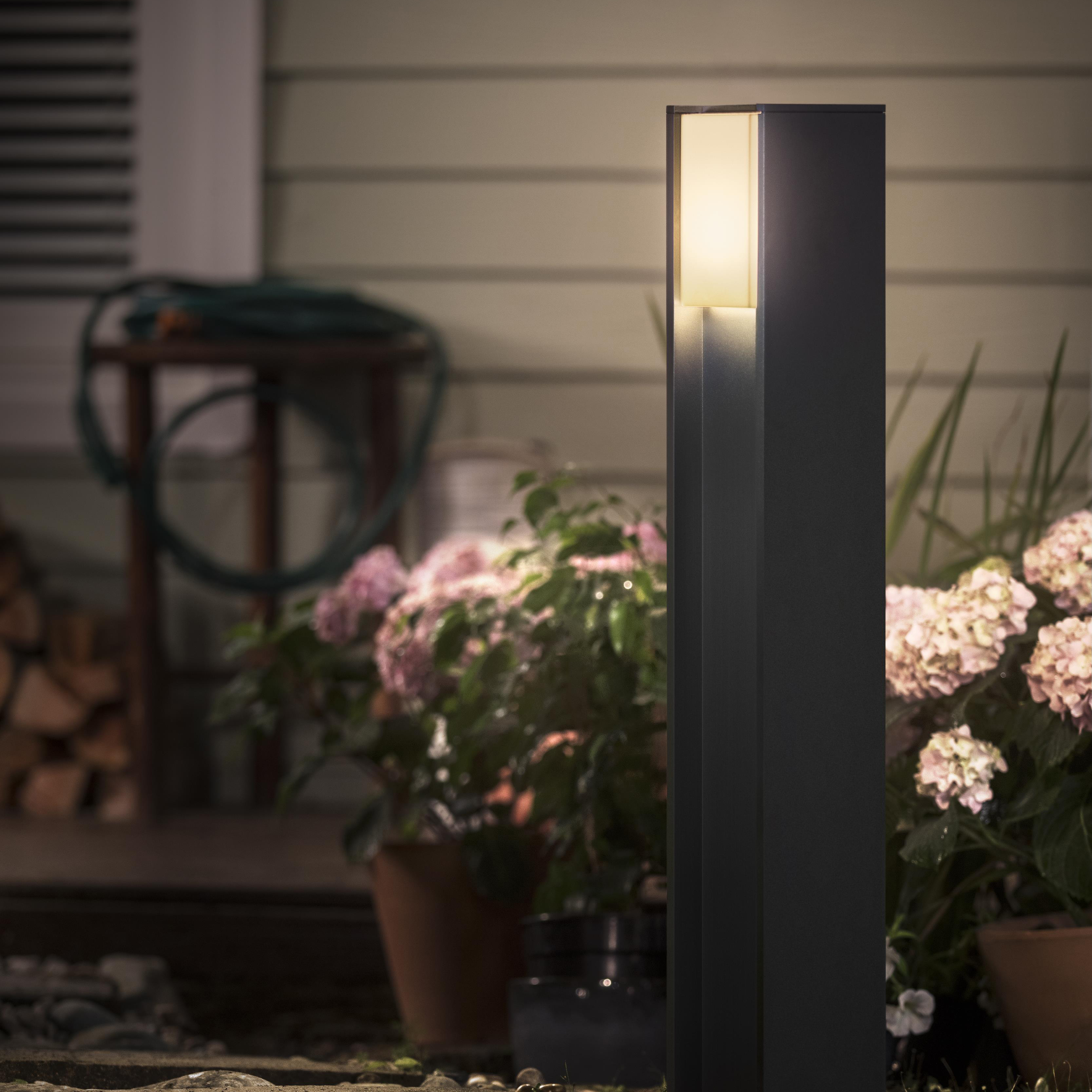 Czarny zewnętrzny słup oświetleniowy, podświetlony, przed roślinami i domem. Scena nocna.