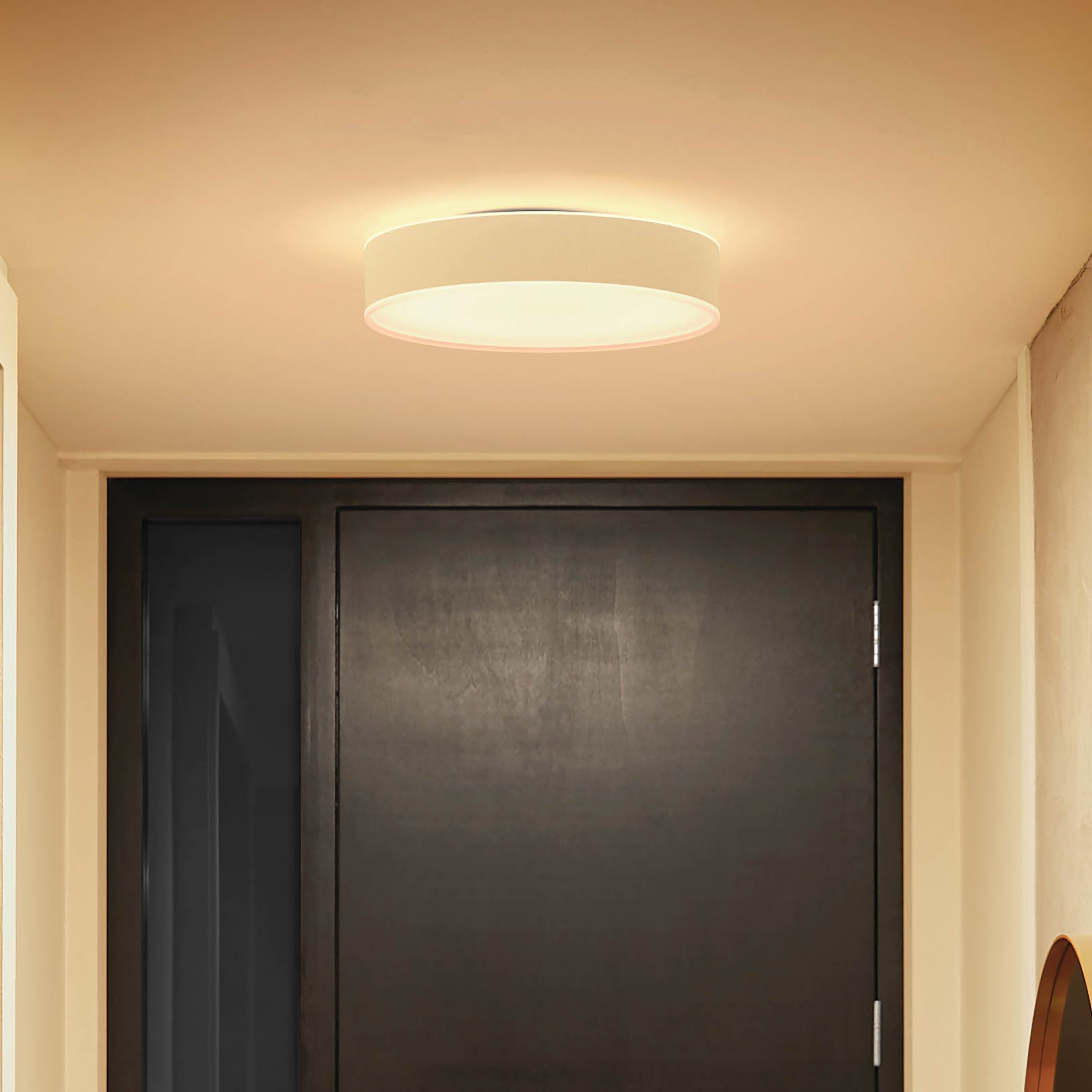 Lampa sufitowa z białym kloszem, oświetlająca korytarz. Ciemne drzwi w tle.