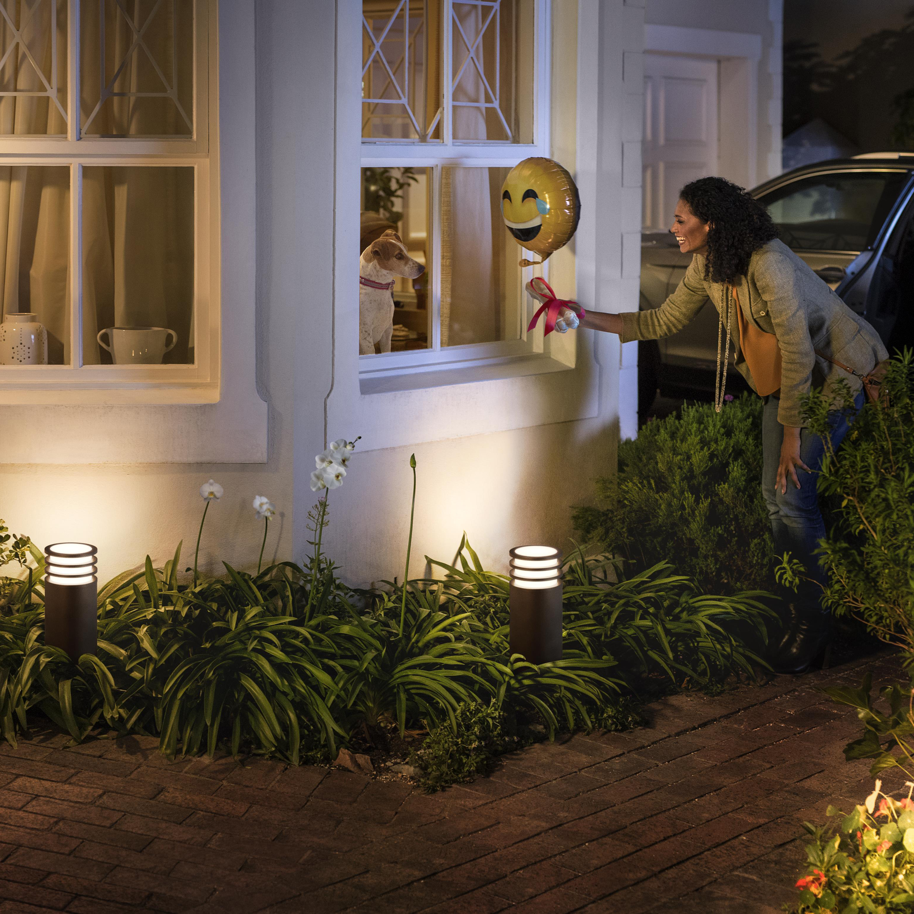 Kobieta wręcza prezent psu w oknie. Balon ze smileyem. Scena nocna ze światłami.