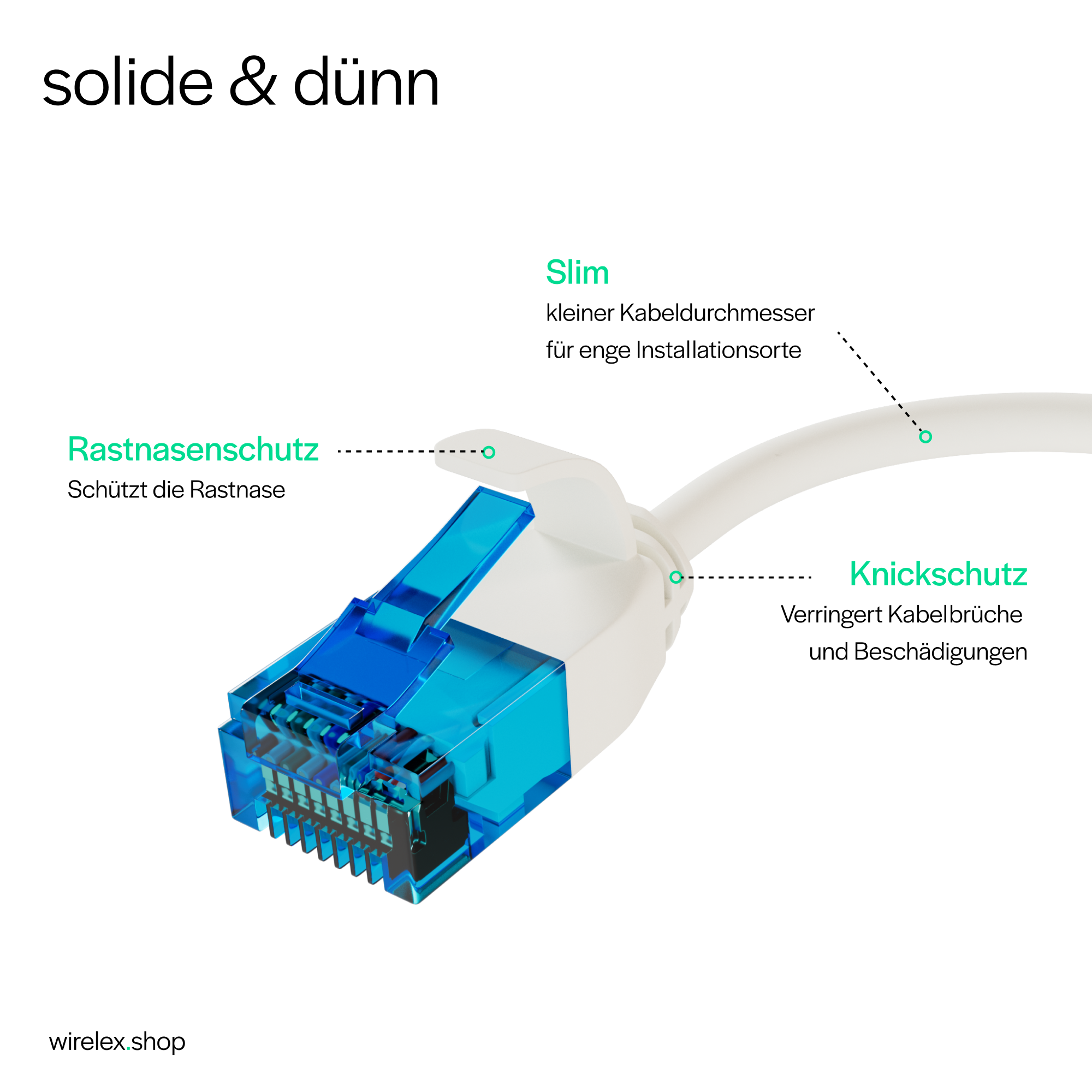 Blauer und weißer Netzwerkkabelanschluss.