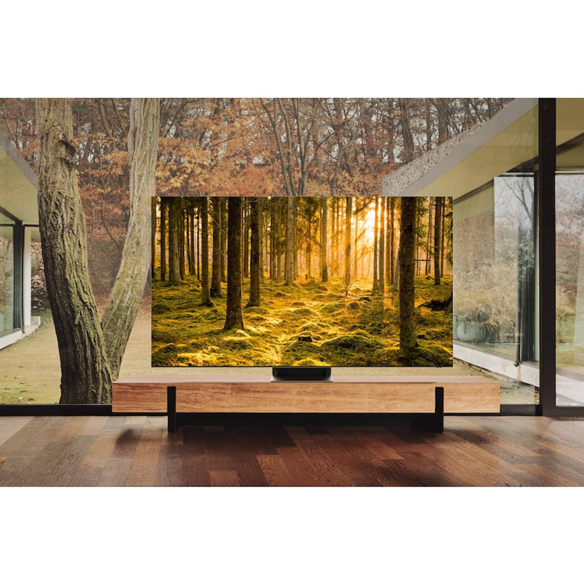 Televisor mostrando escena de bosque. Colocado en mueble de madera. Fondo es ventana.