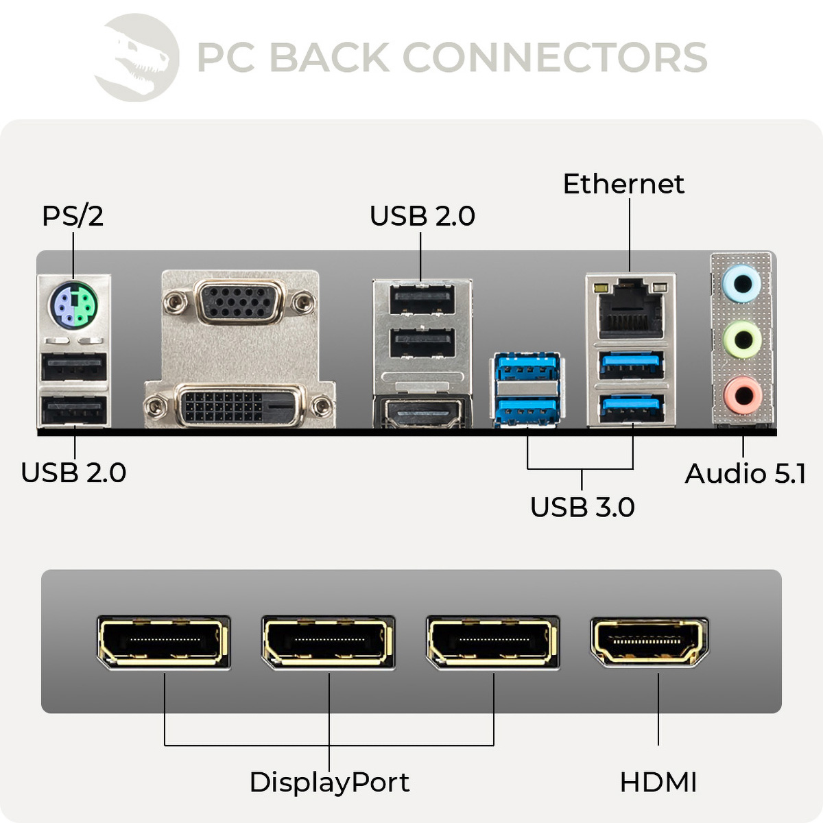 Nahaufnahme der PC-Rückseite mit Anschlüssen: PS/2, USB, Ethernet, Audio und DisplayPort.