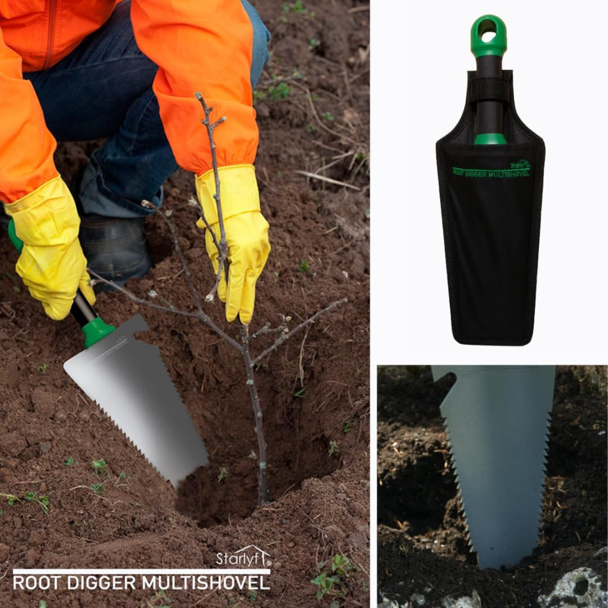 Person benutzt Root Digger MultiShovel. Der Spaten gräbt um eine kleine Pflanze im Boden herum.