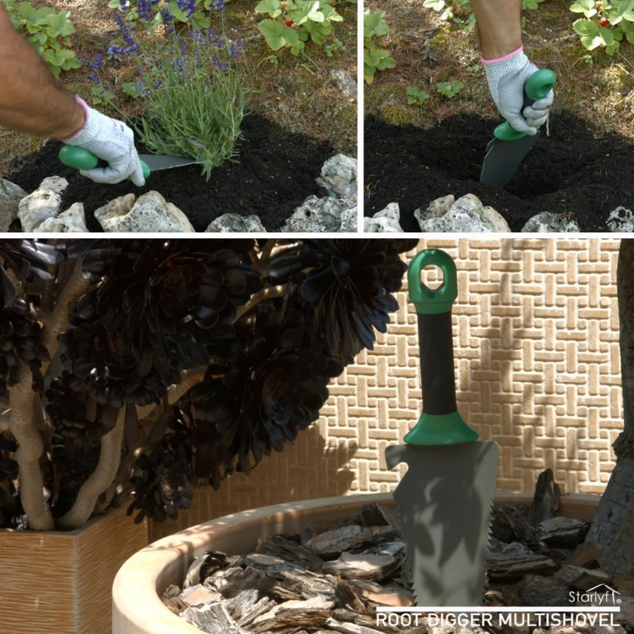 Drei Bilder zeigen Gartenarbeit. Eine Person pflanzt einen Busch mit einer Kelle und einem Wurzelgrabwerkzeug.