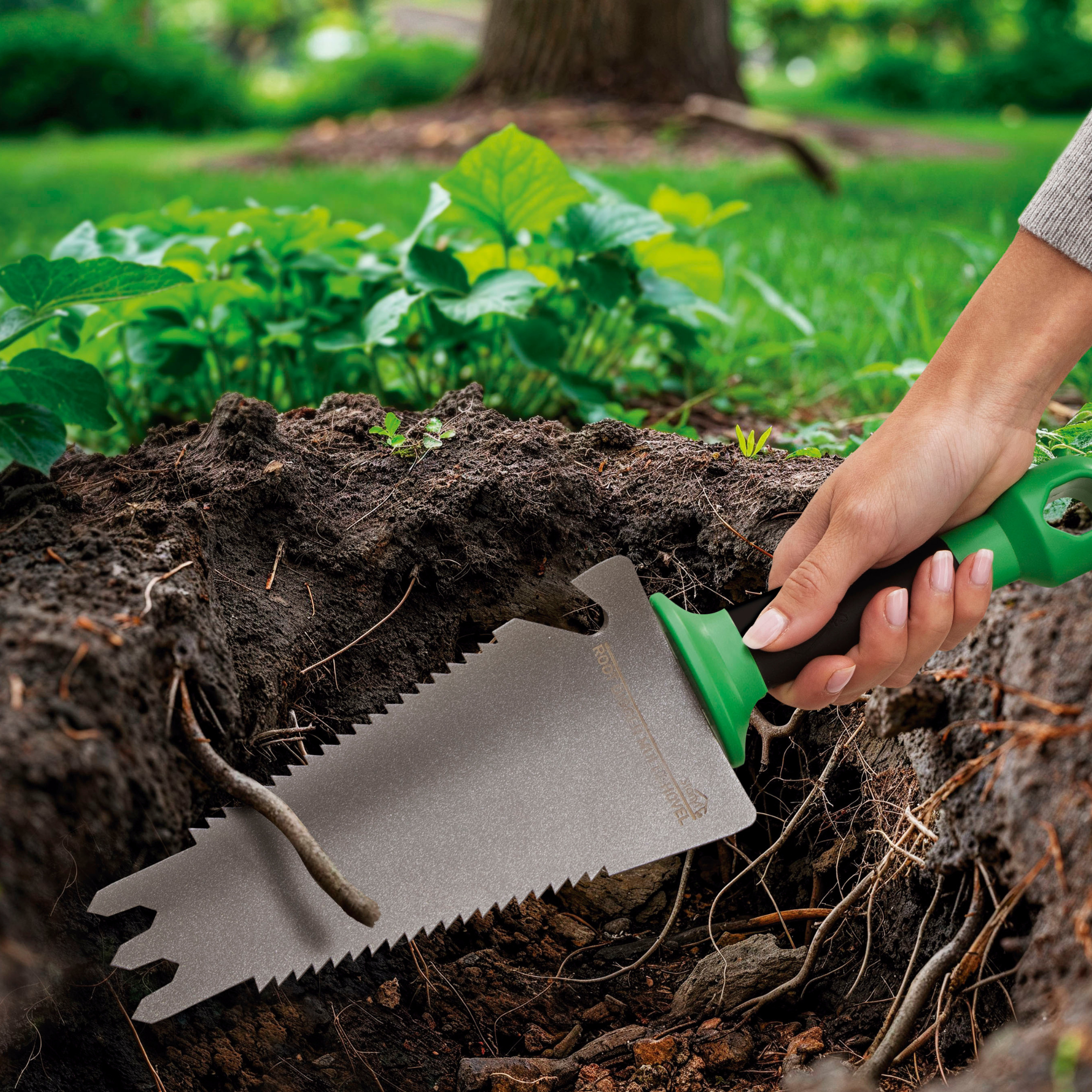 Eine Hand, die eine Gartensäge benutzt, um durch Erde zu schneiden. Die Säge hat einen grünen Griff.