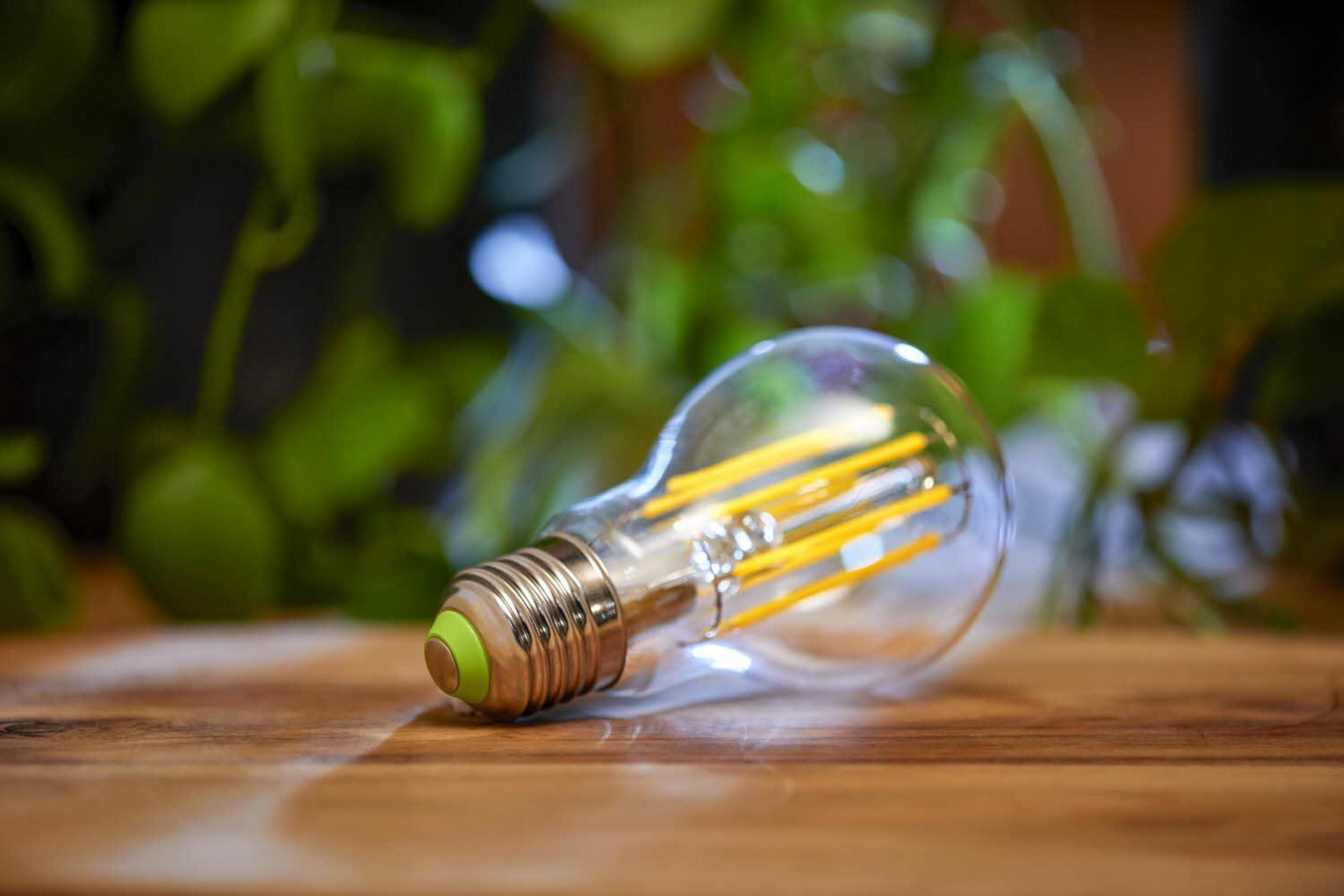 Una lampadina con filamenti gialli su una superficie di legno, piante verdi sullo sfondo.