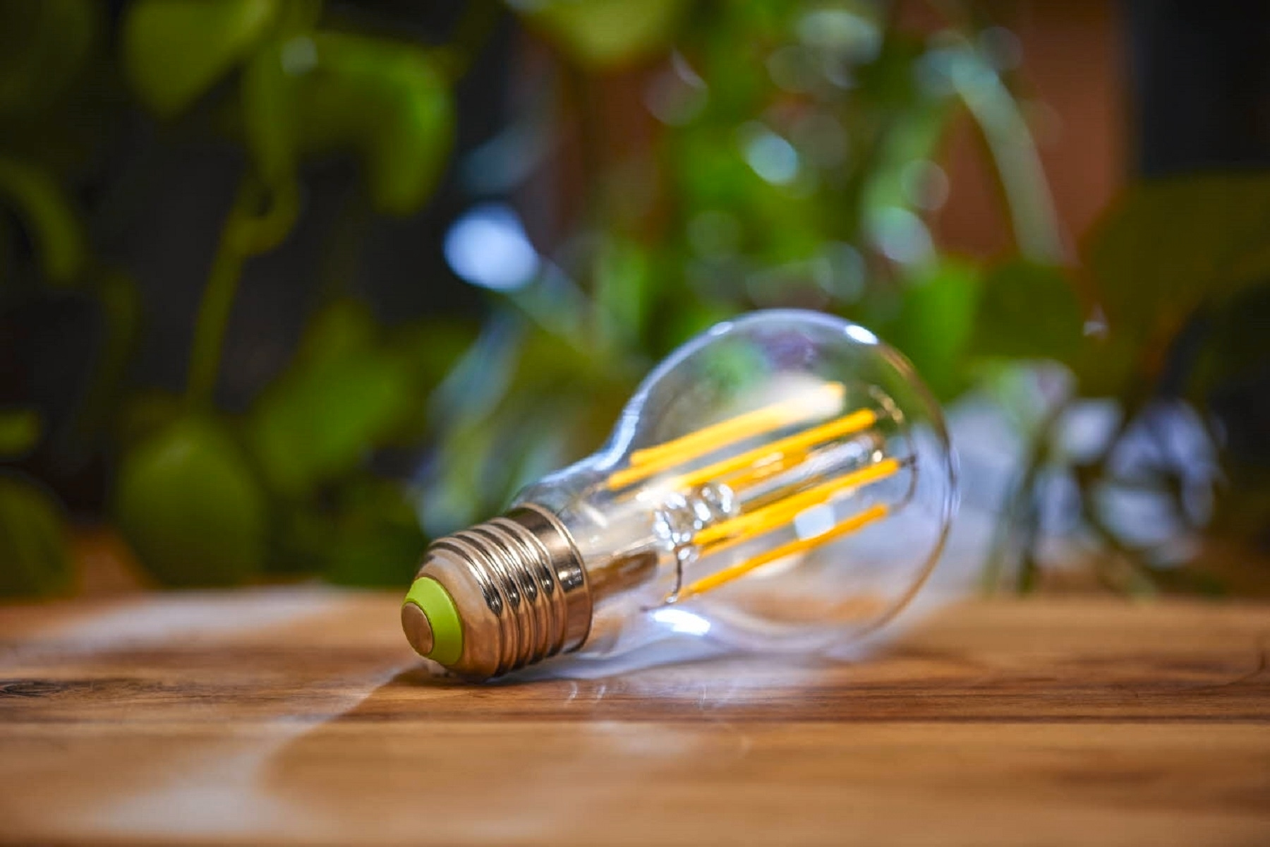 Une ampoule sur une surface en bois avec des plantes vertes floues en arrière-plan.