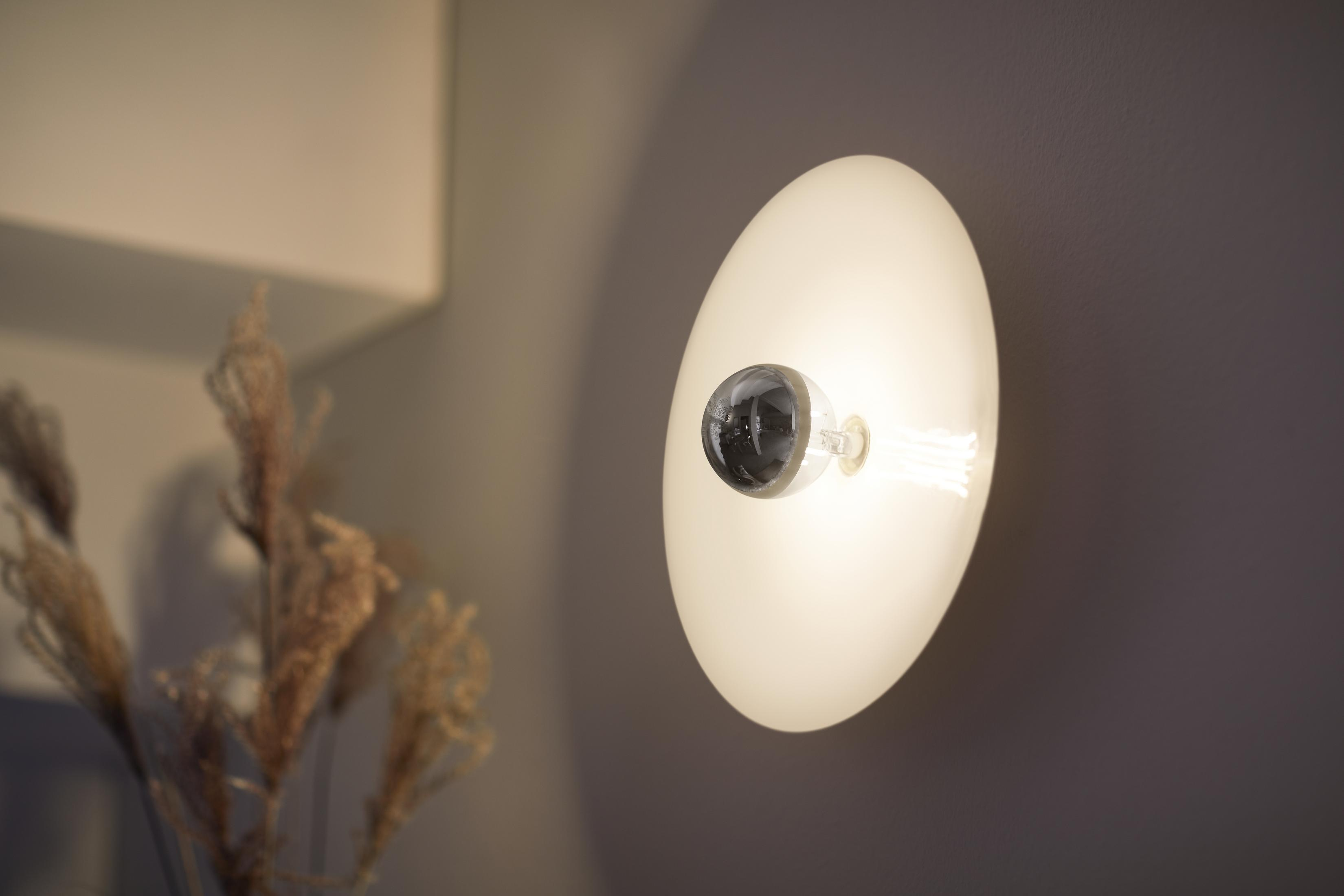 Weiße und gläserne Wandlampe mit Glühbirne an grauer Wand mit Pflanzen.