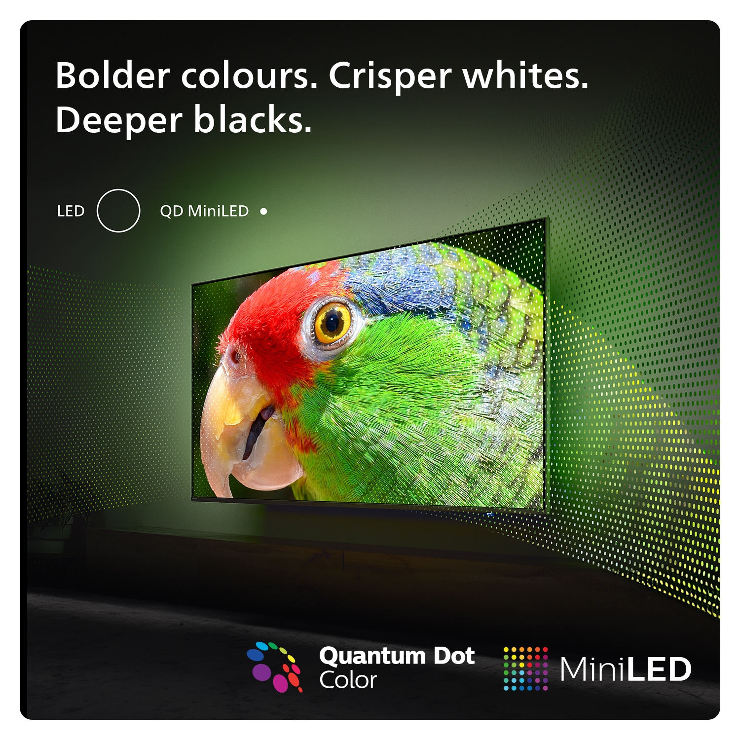 TV-Bildschirm mit Papageienbild. Text: 'Brillante Farben. Knackigere Weißtöne. Tiefere Schwarztöne.' LED und MiniLED.