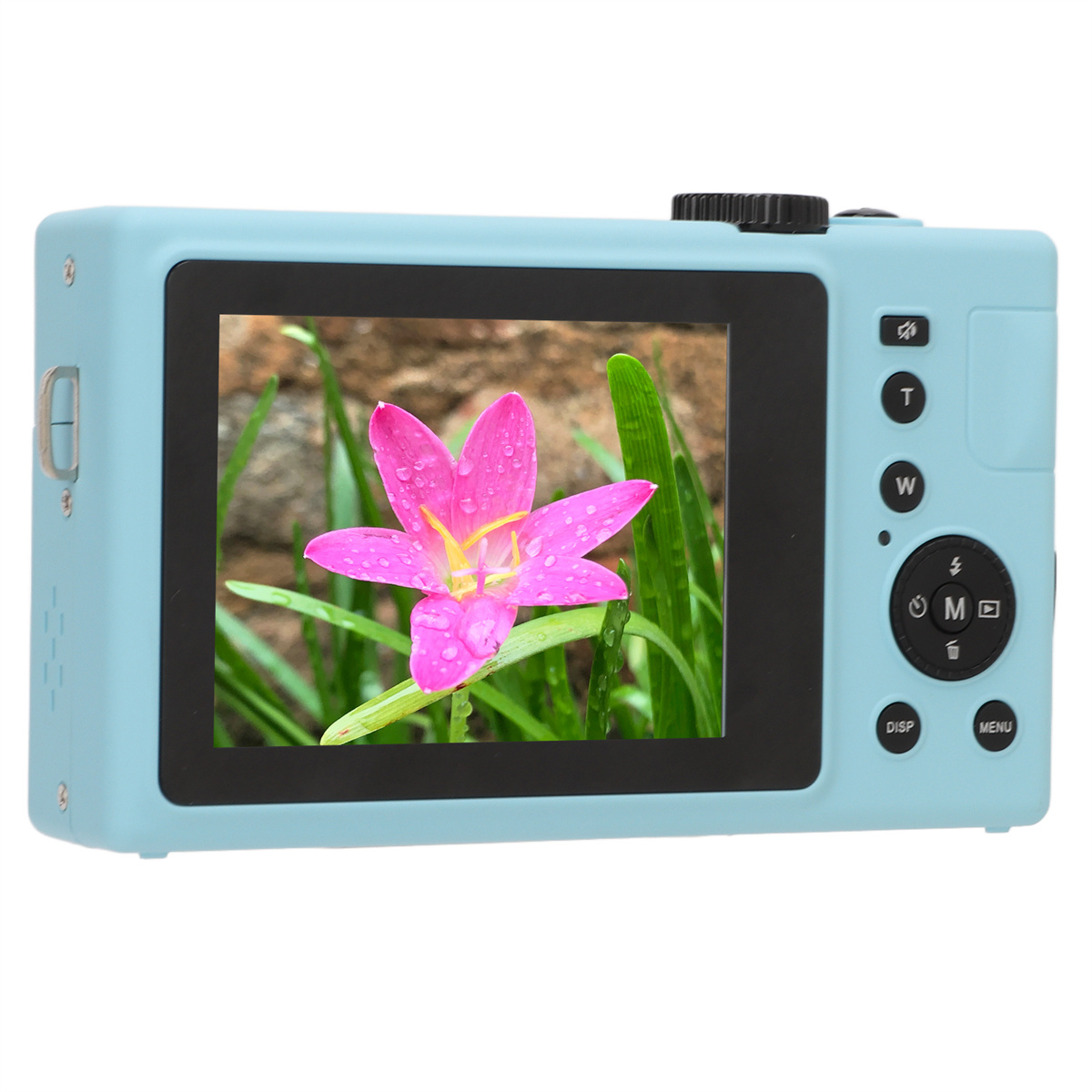 Blaue Digitalkamera. Der Bildschirm zeigt eine rosa Blume mit Wassertropfen. Knöpfe rechts.