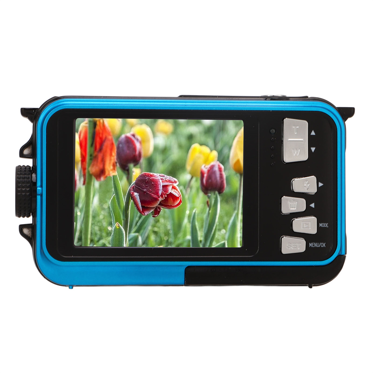 Eine blaue wasserdichte Kamera mit einem Bildschirm, der eine Nahaufnahme von bunten Tulpen zeigt.