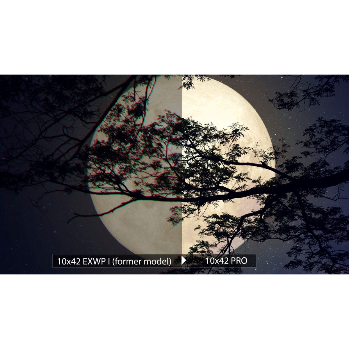 Scena oświetlona księżycem z gałęziami drzew na pierwszym planie. Porównanie dwóch obiektywów.