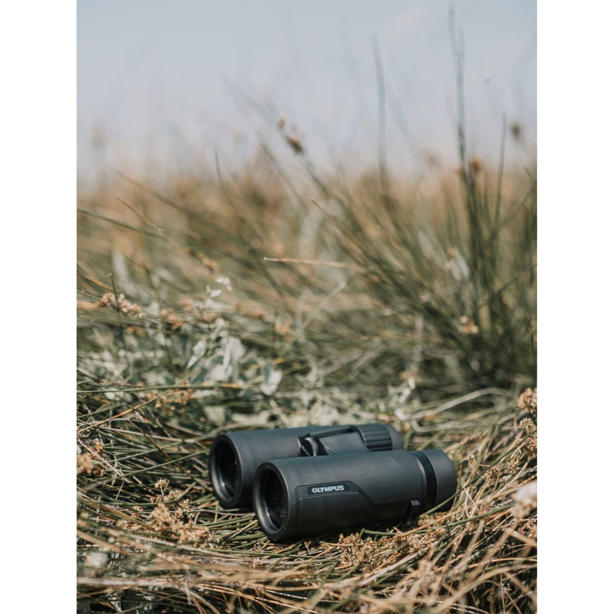 Czarna lornetka Olympus na suchej trawie z rozmytym tłem z zielonych krzewów i jasnoniebieskiego nieba.
