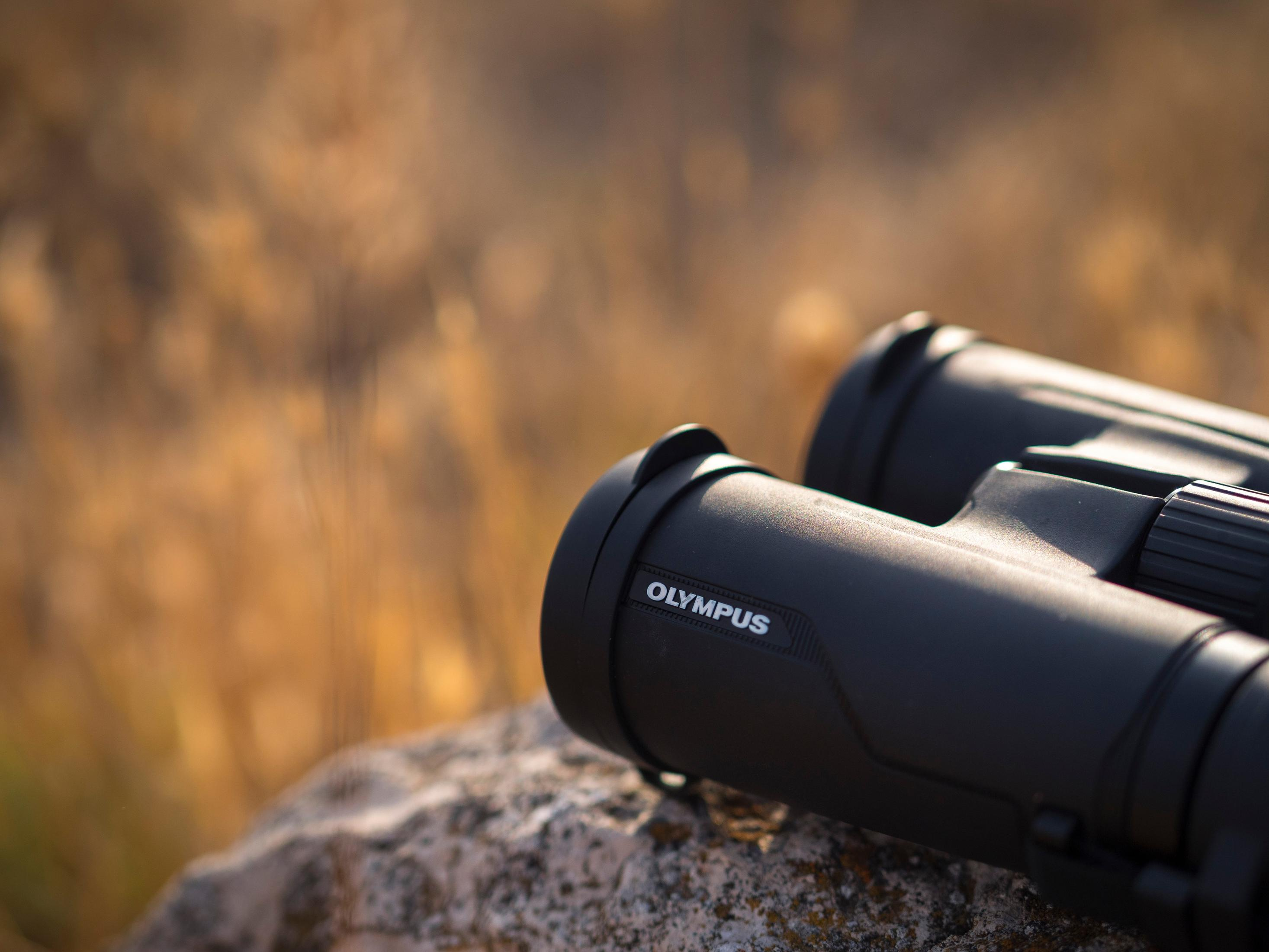 Czarna lornetka Olympus na skale. Rozmyte tło z suchej trawy.