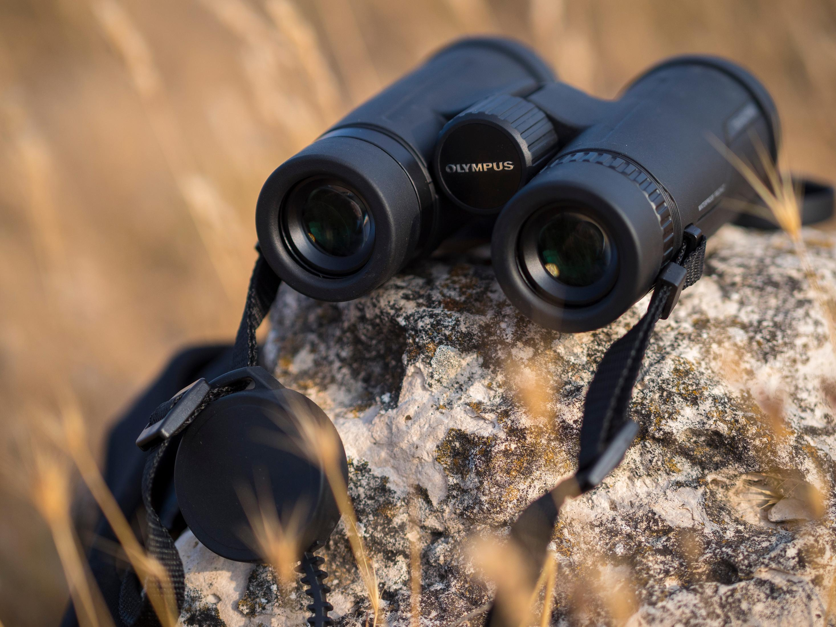 Czarna lornetka Olympus na teksturowanej skale, z rozmytą złotą trawą w tle.