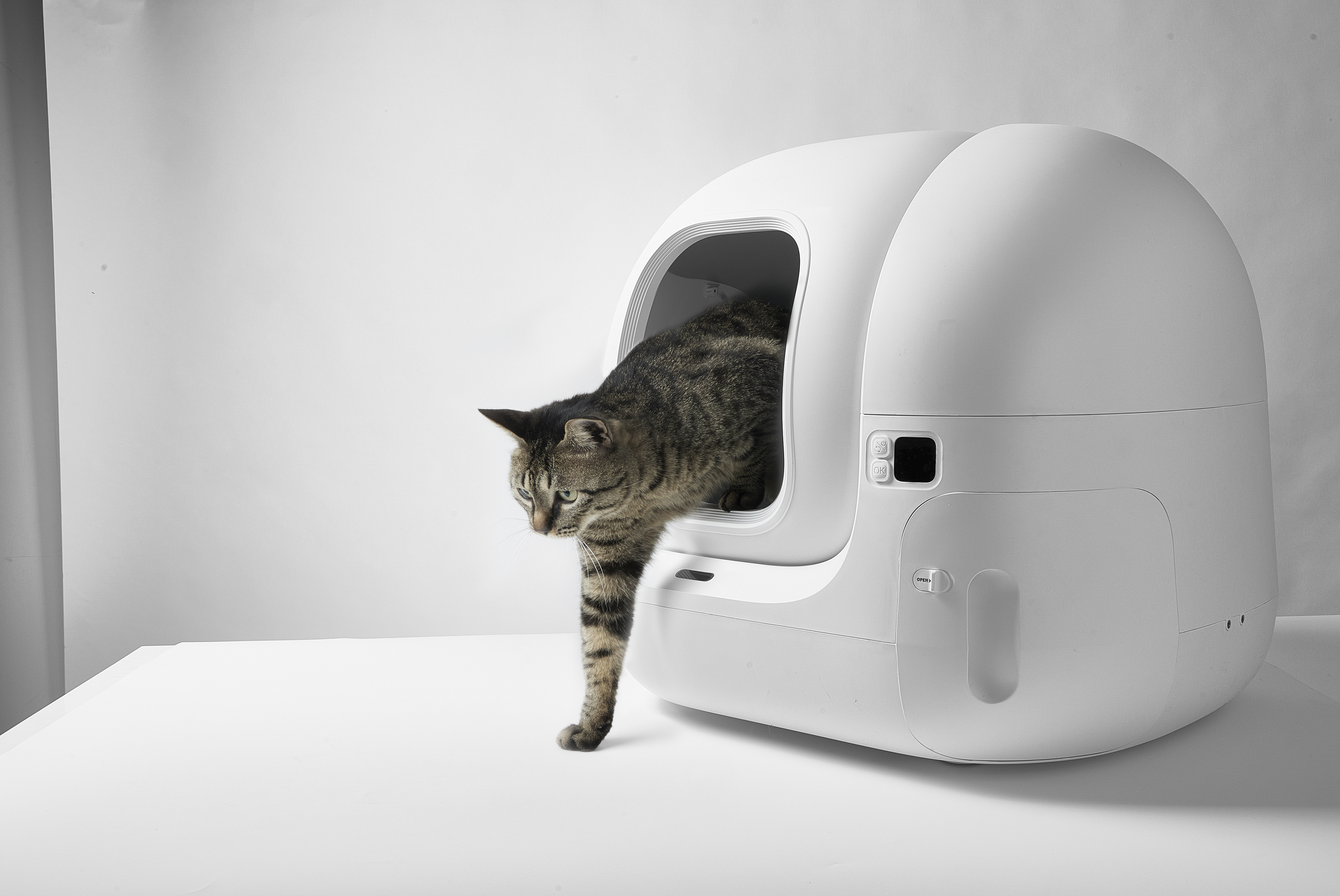 Katze verlässt eine weiße, abgerundete Katzentoilette. Weißer Hintergrund.