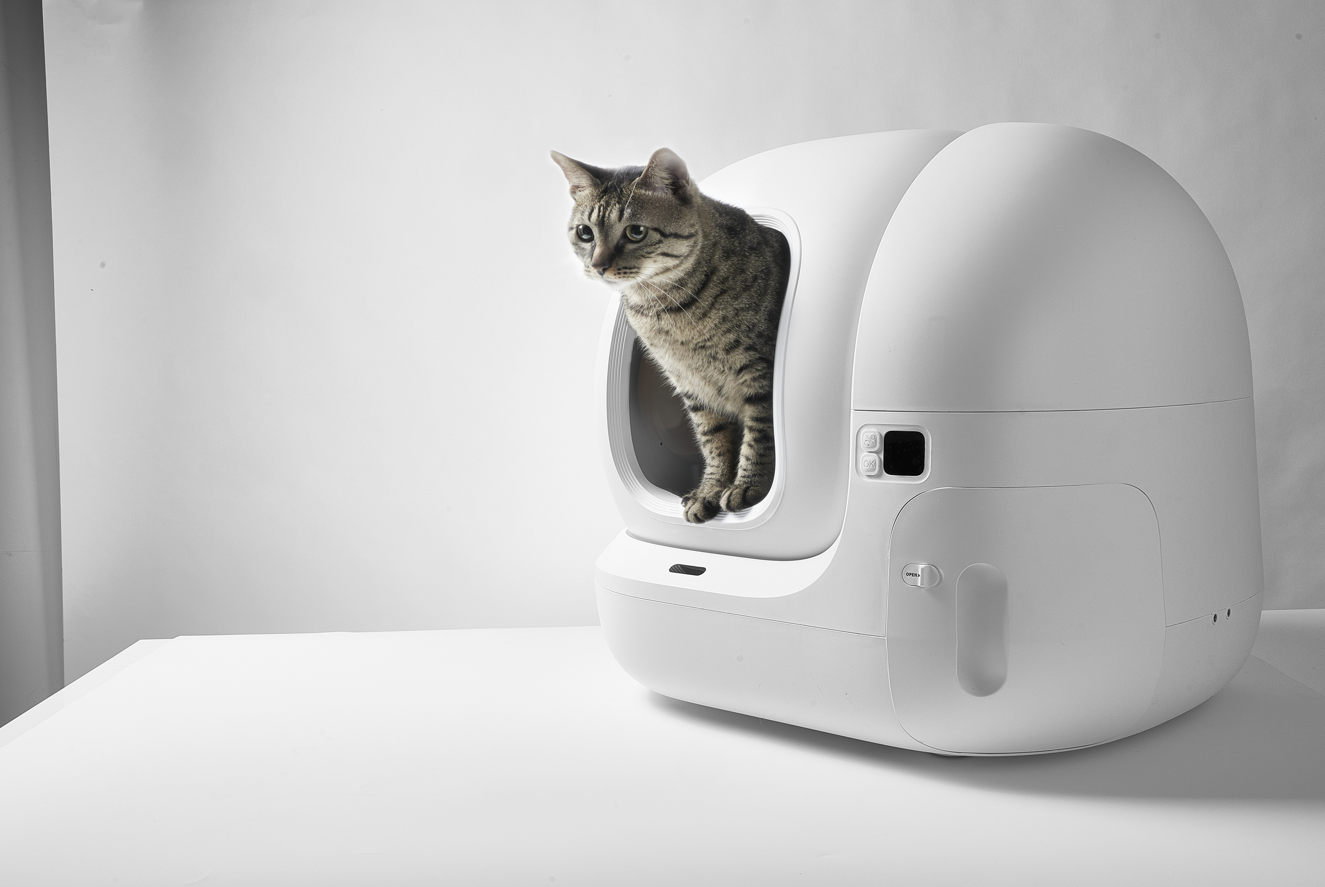 Eine getigerte Katze blickt aus einer weißen, abgerundeten Katzentoilette. Die Katze schaut heraus.